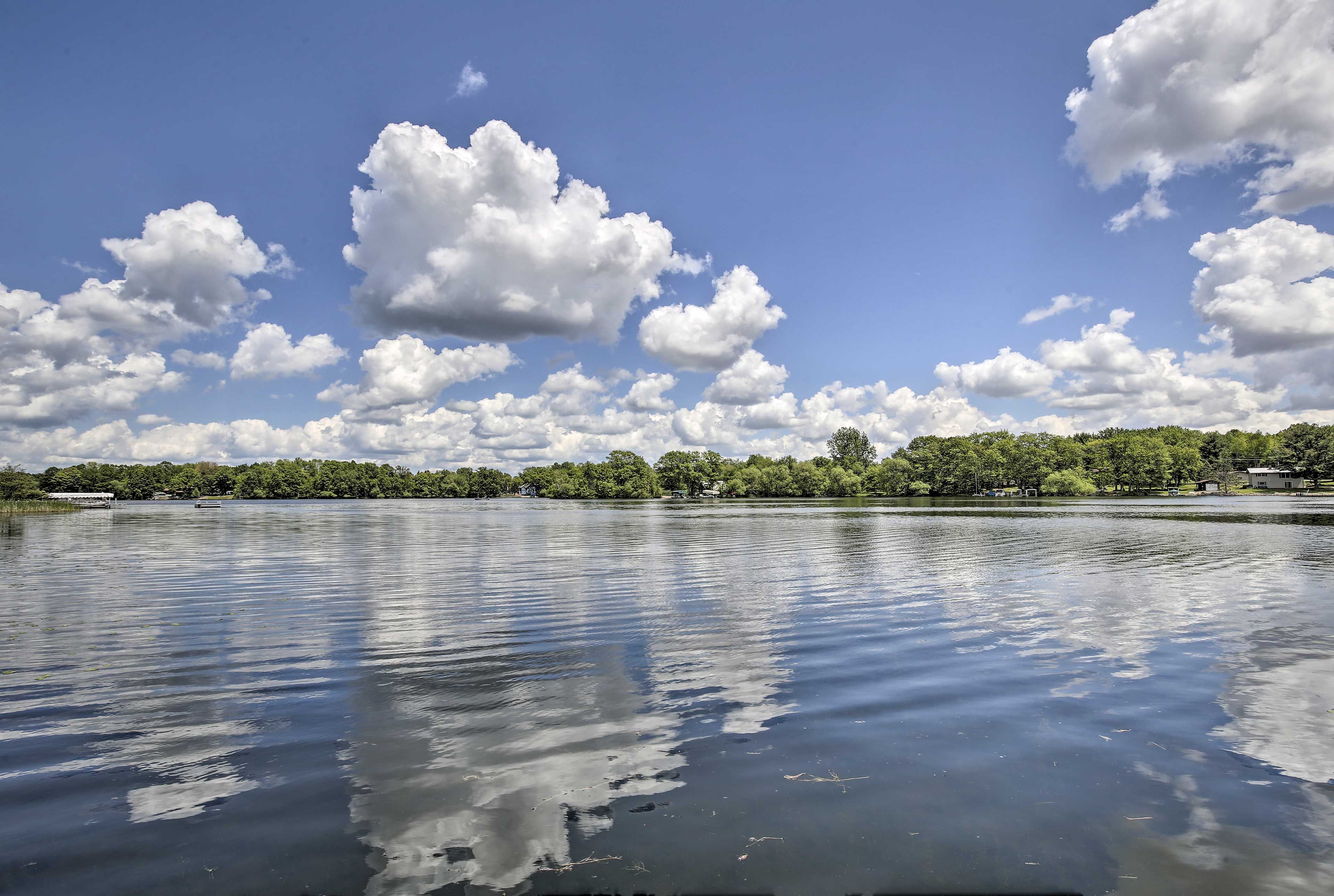 Lake Views