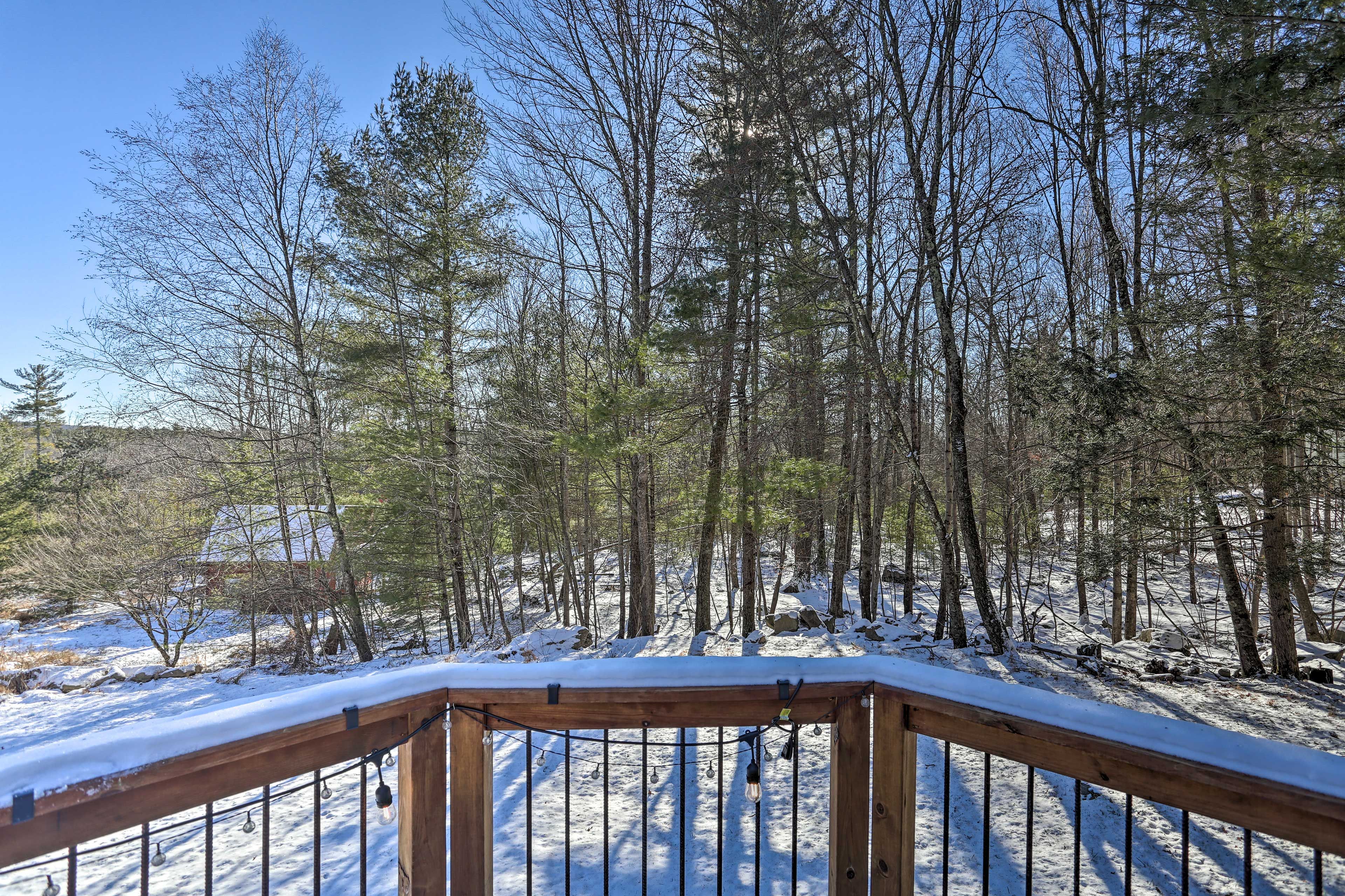 Deck | Backyard Views