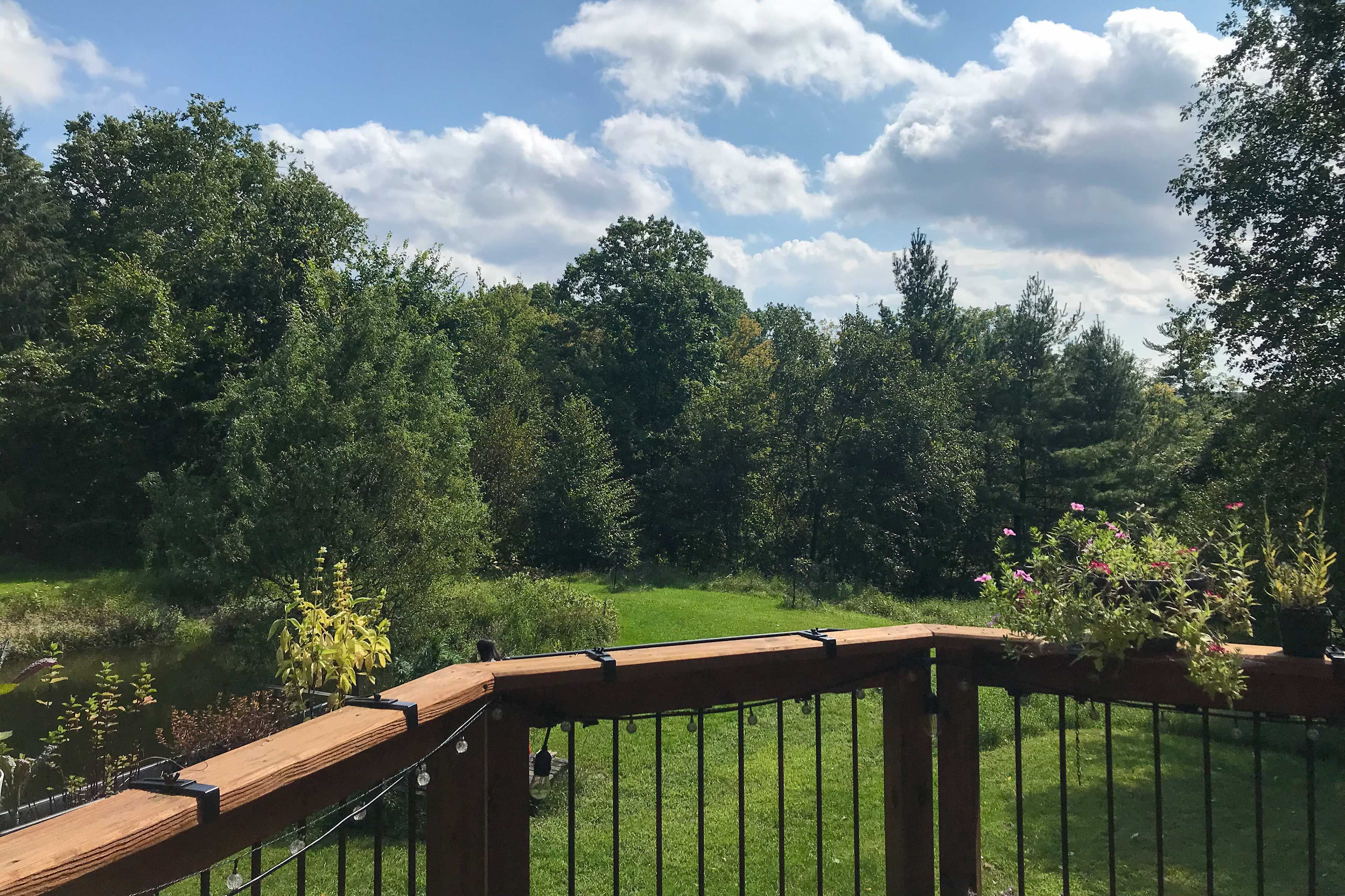 Deck in Summer
