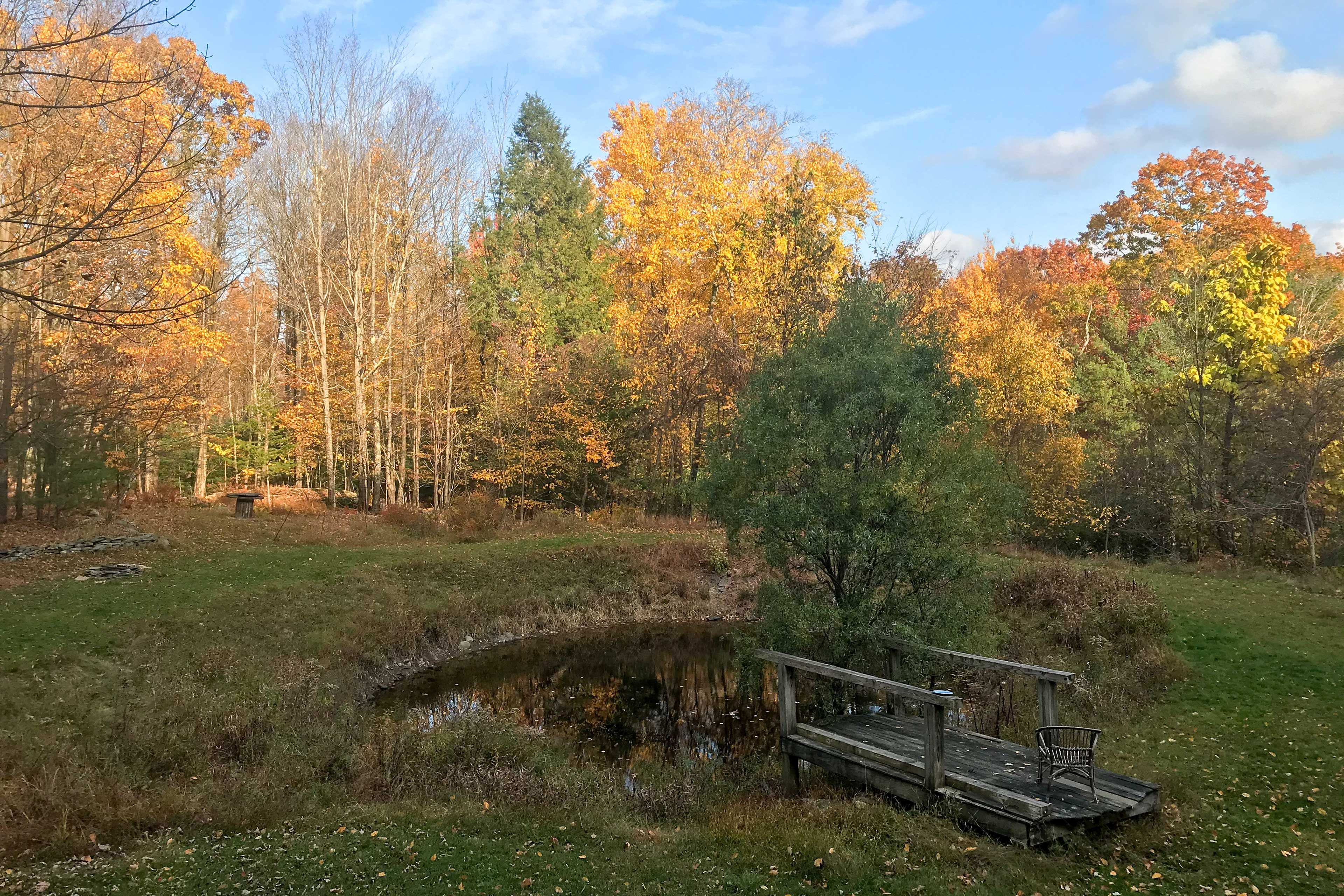 Property in Fall