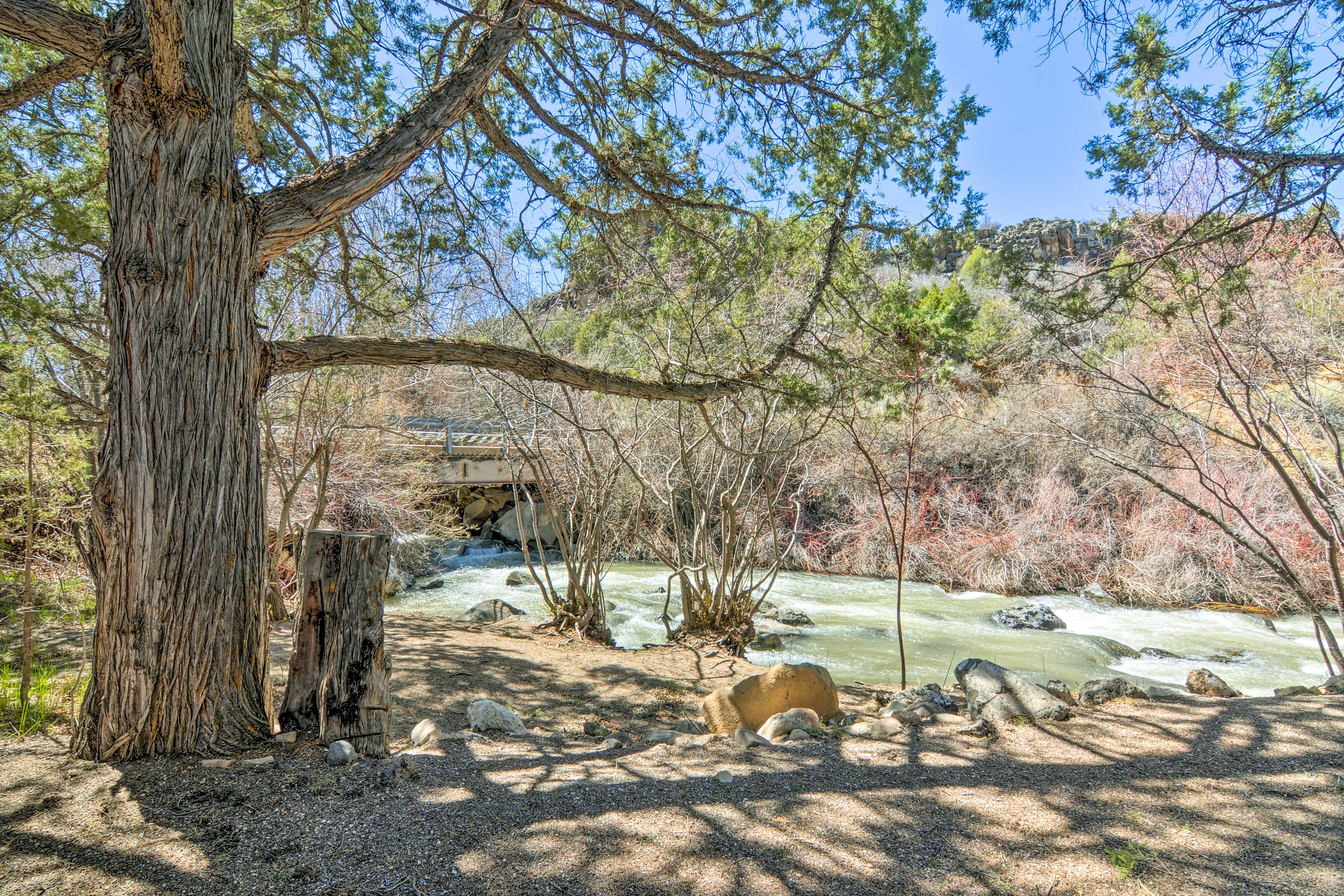 Creek Views
