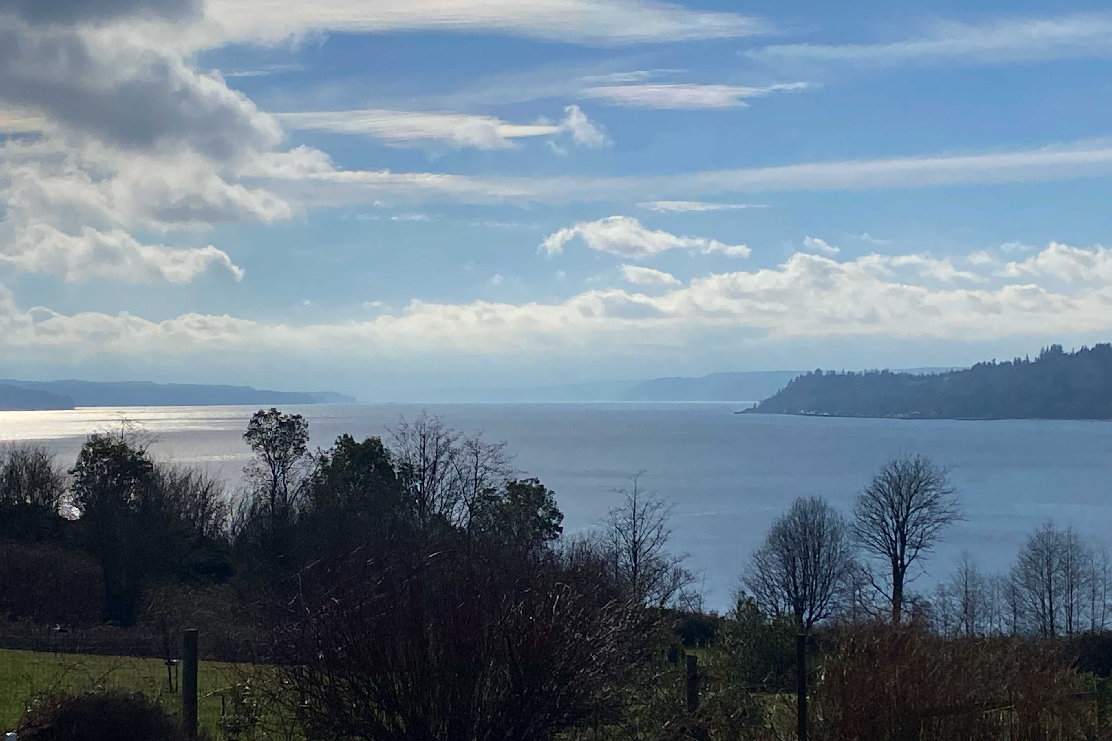 House Views