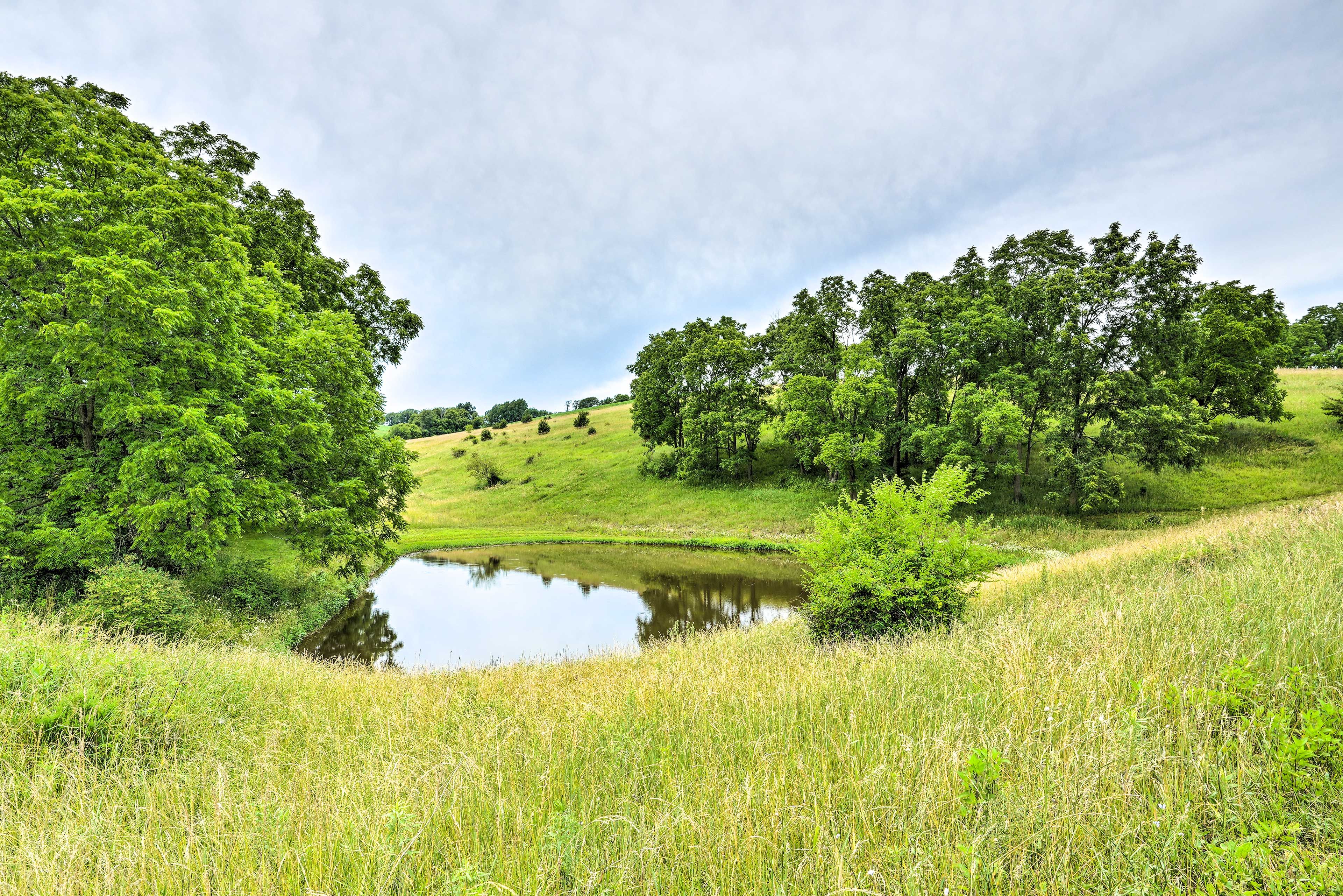 Pastoral View