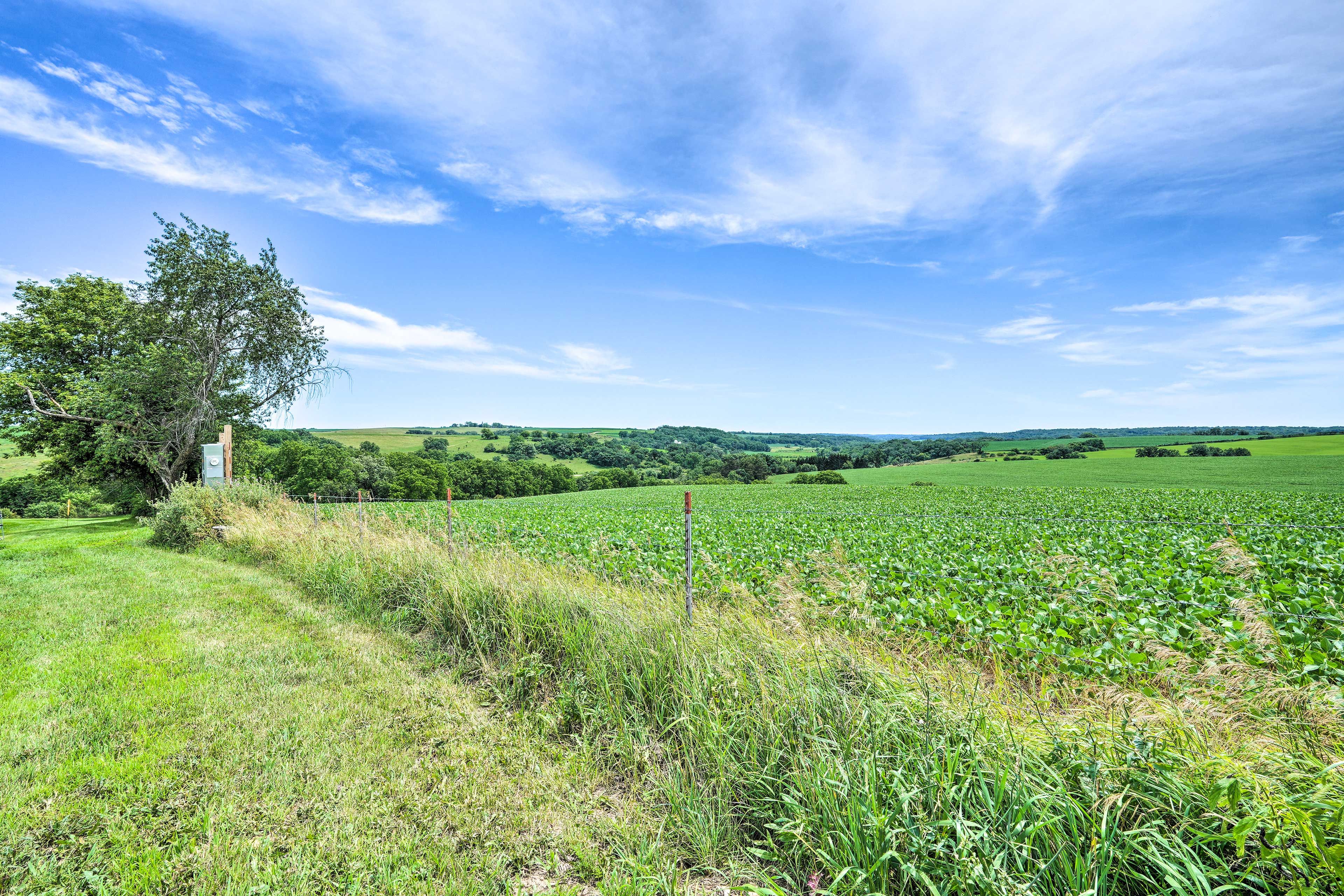 Pastoral View