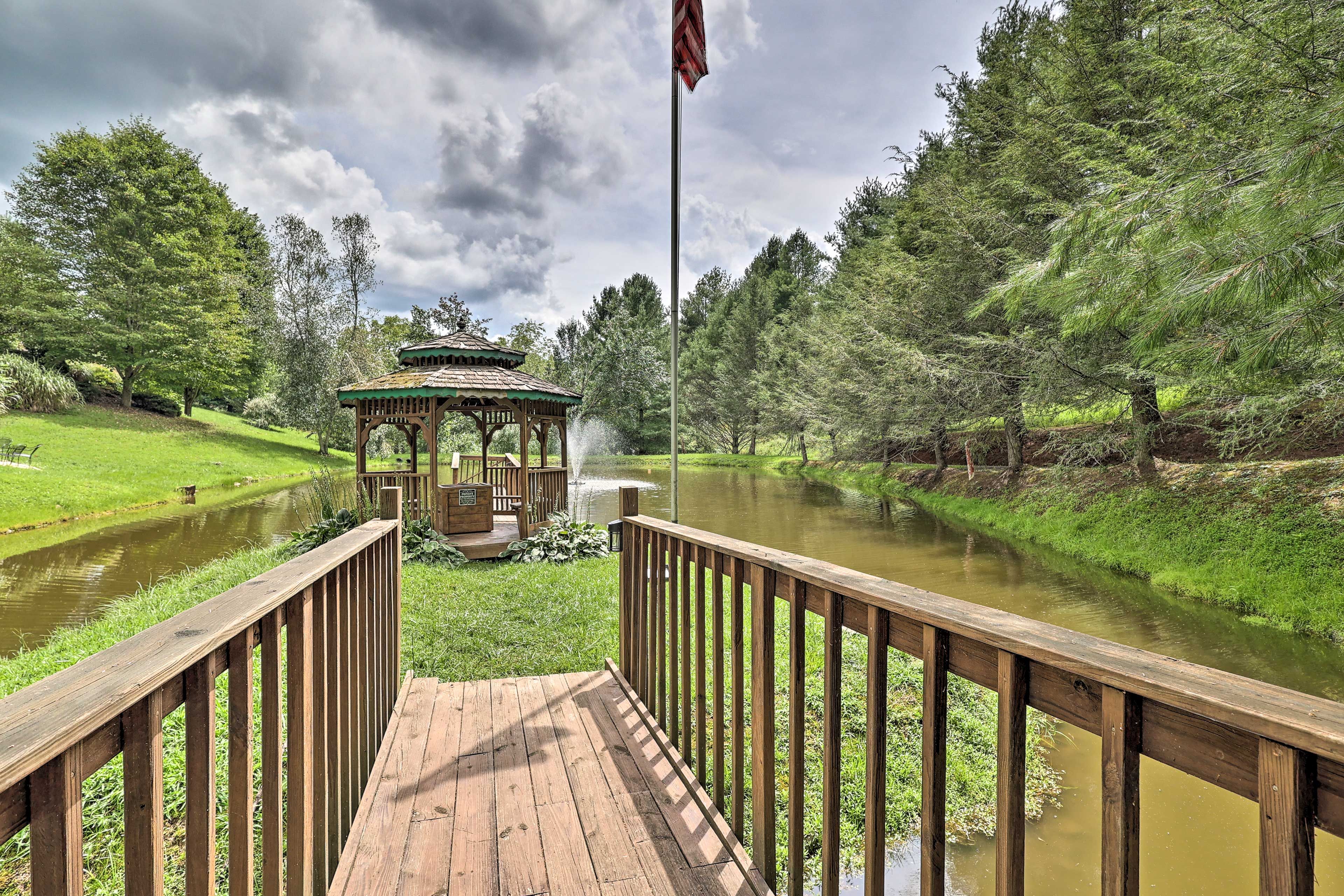 Pond