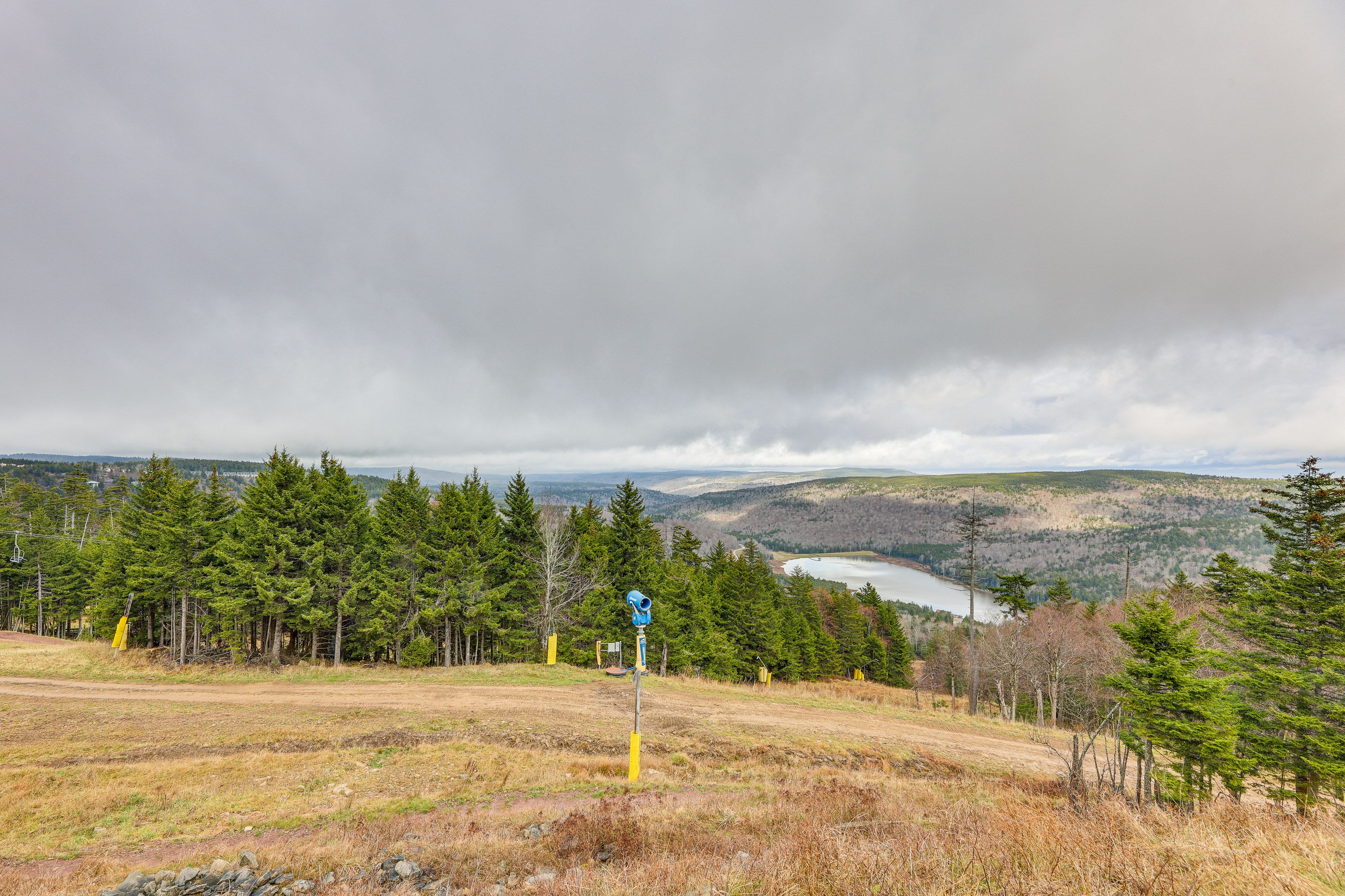 Panoramic Views
