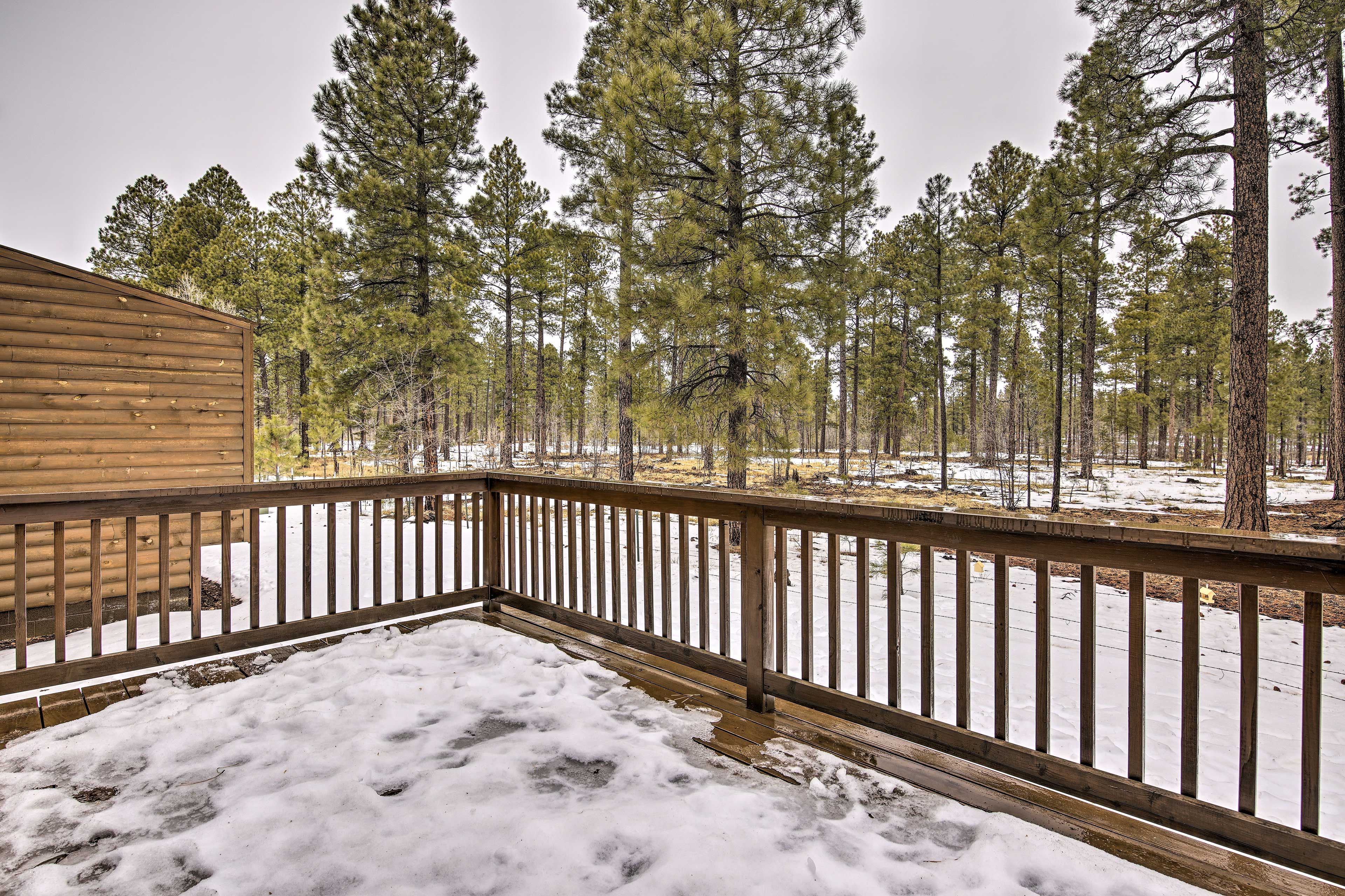 Private Deck/Yard | Gas Grill | Fire Pit