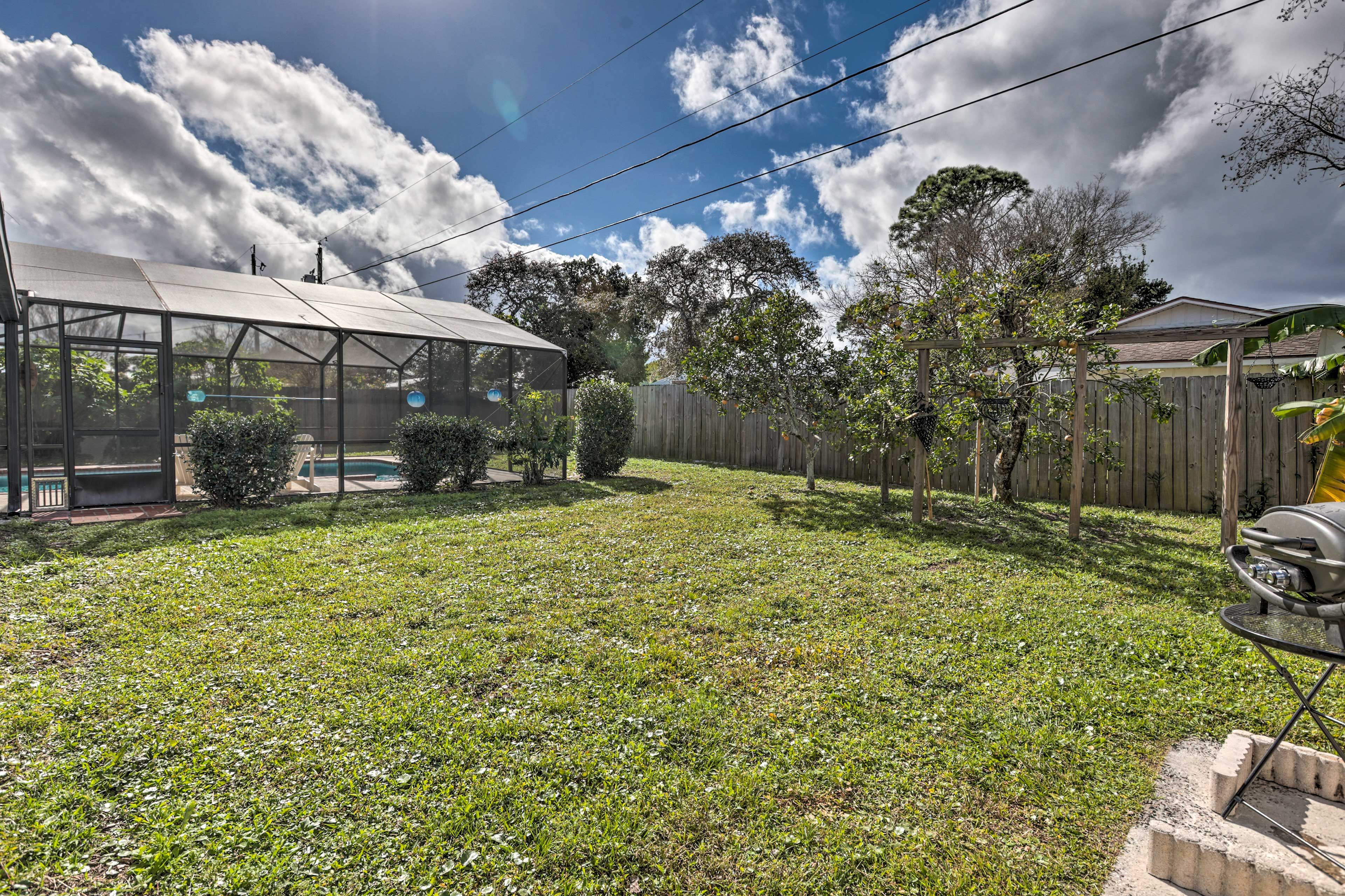 Backyard