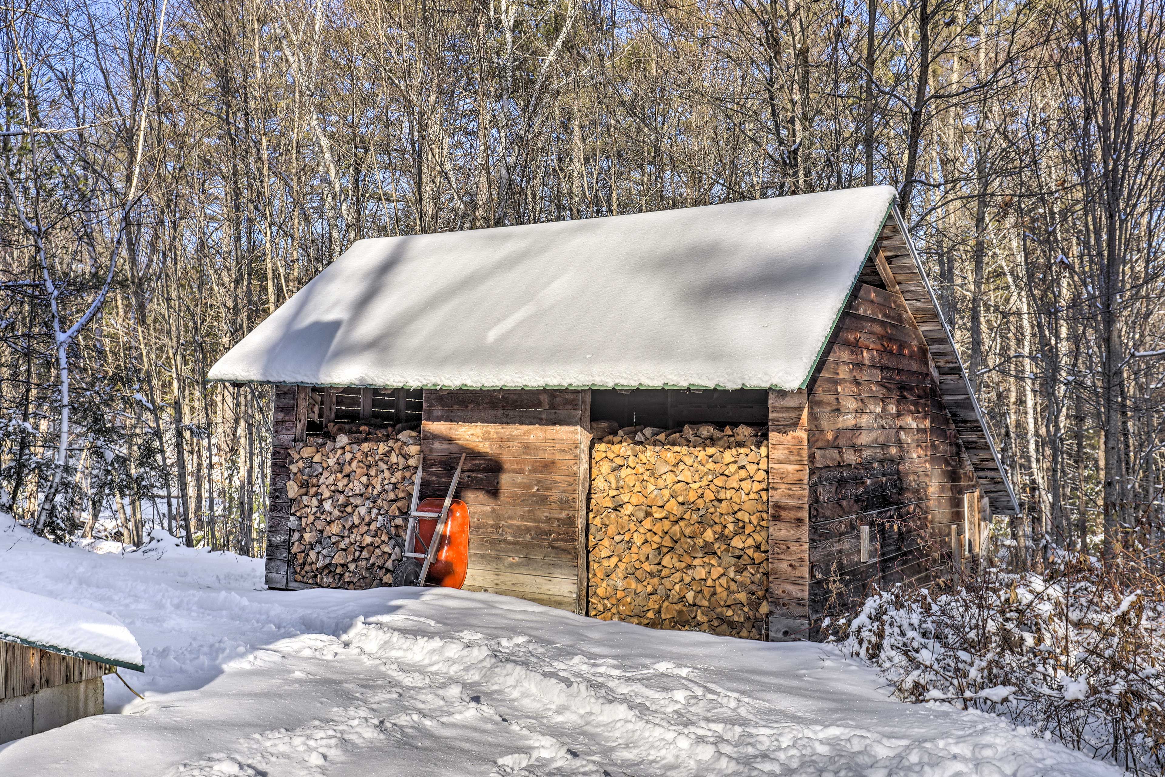 Forested Yard | Firewood Provided