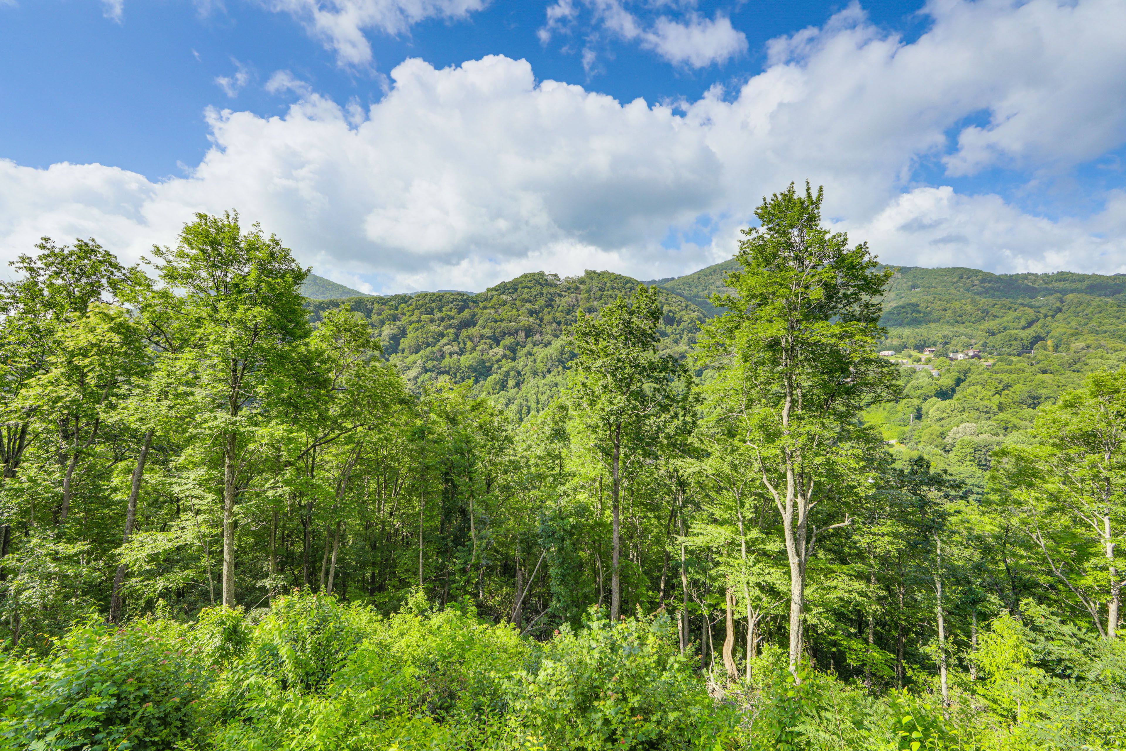 View From Wraparound Deck