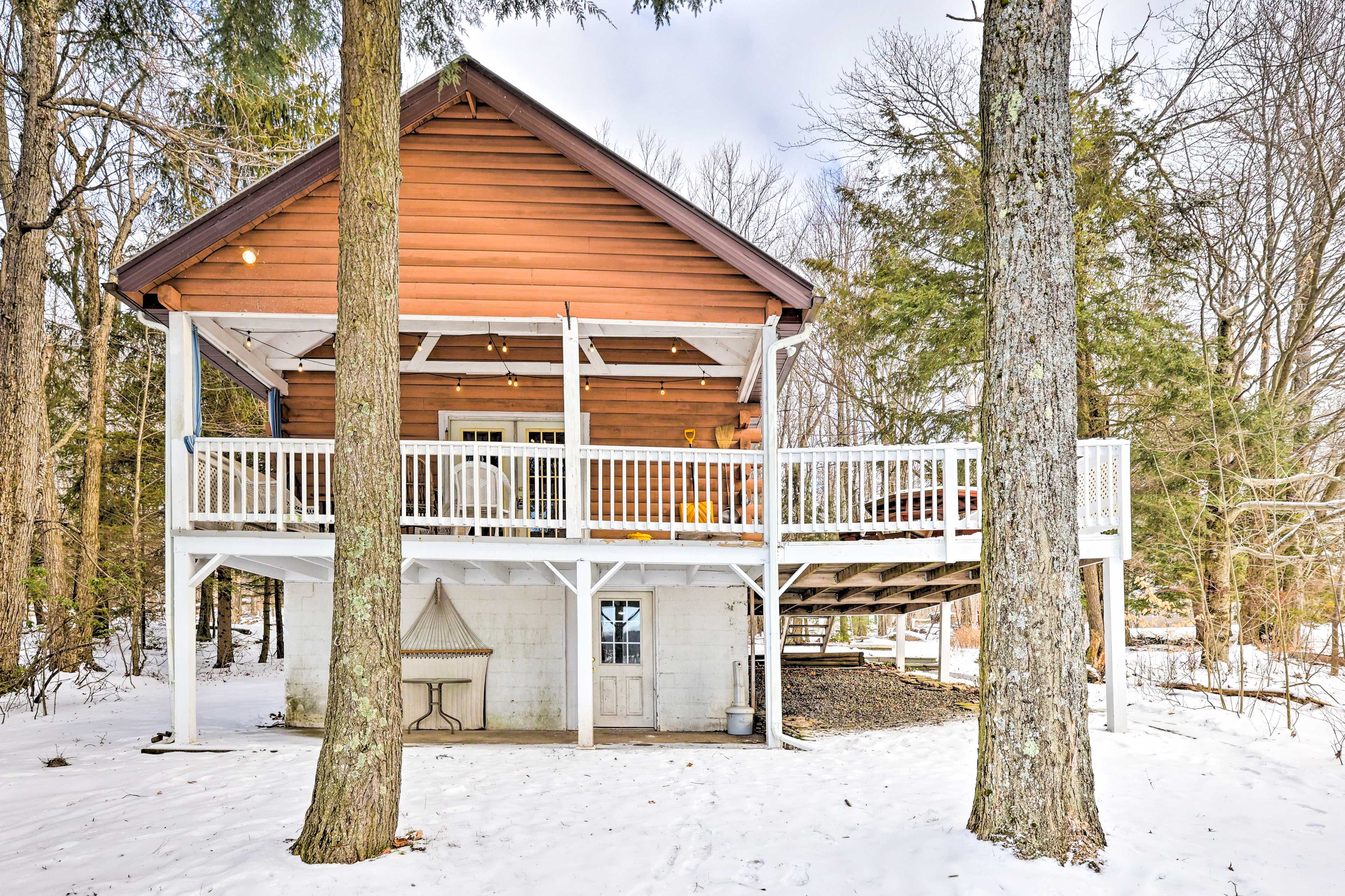 Backyard | 3-Story Cabin | Stairs Required for Loft, Basement & Backyard Access