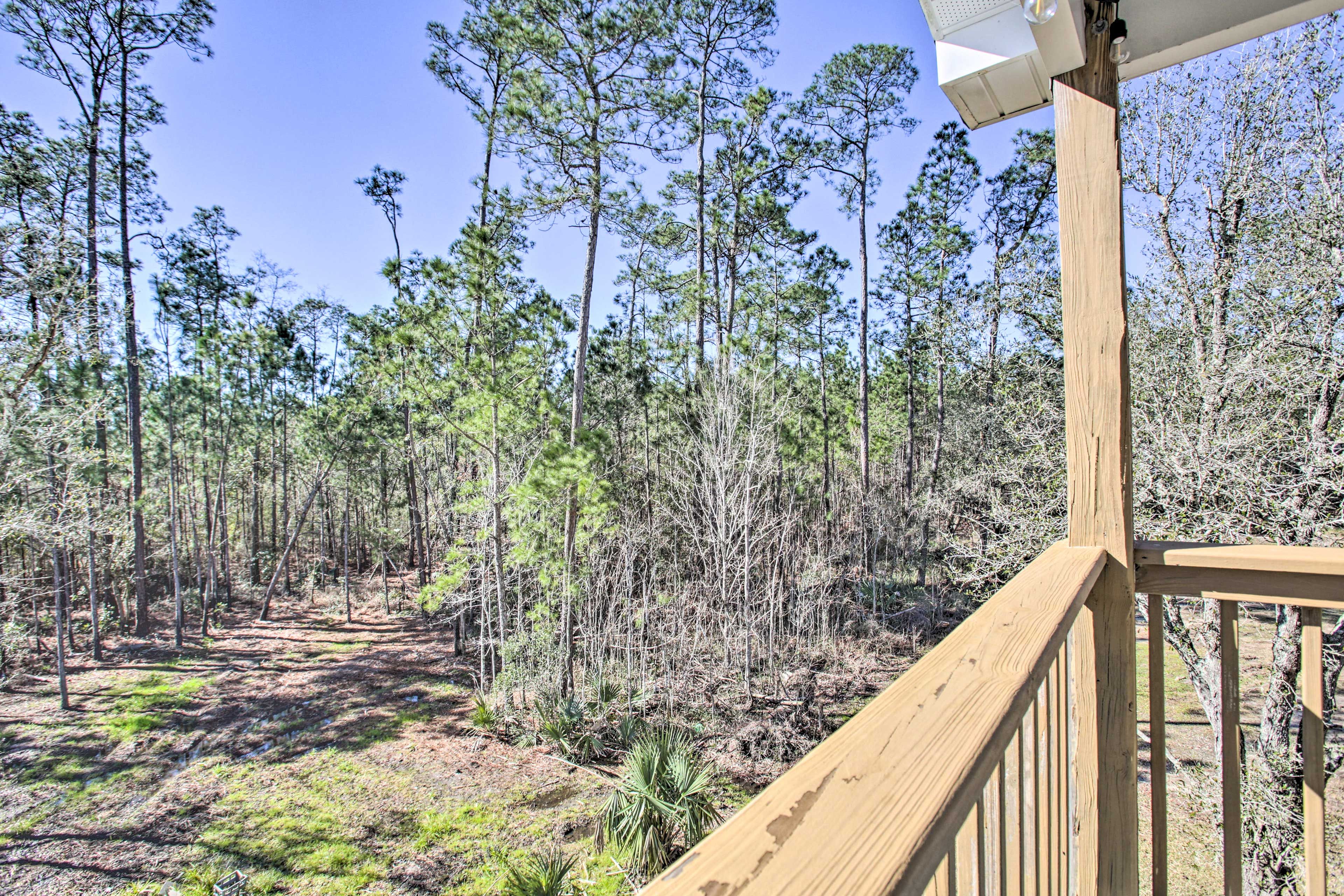 Deck Views