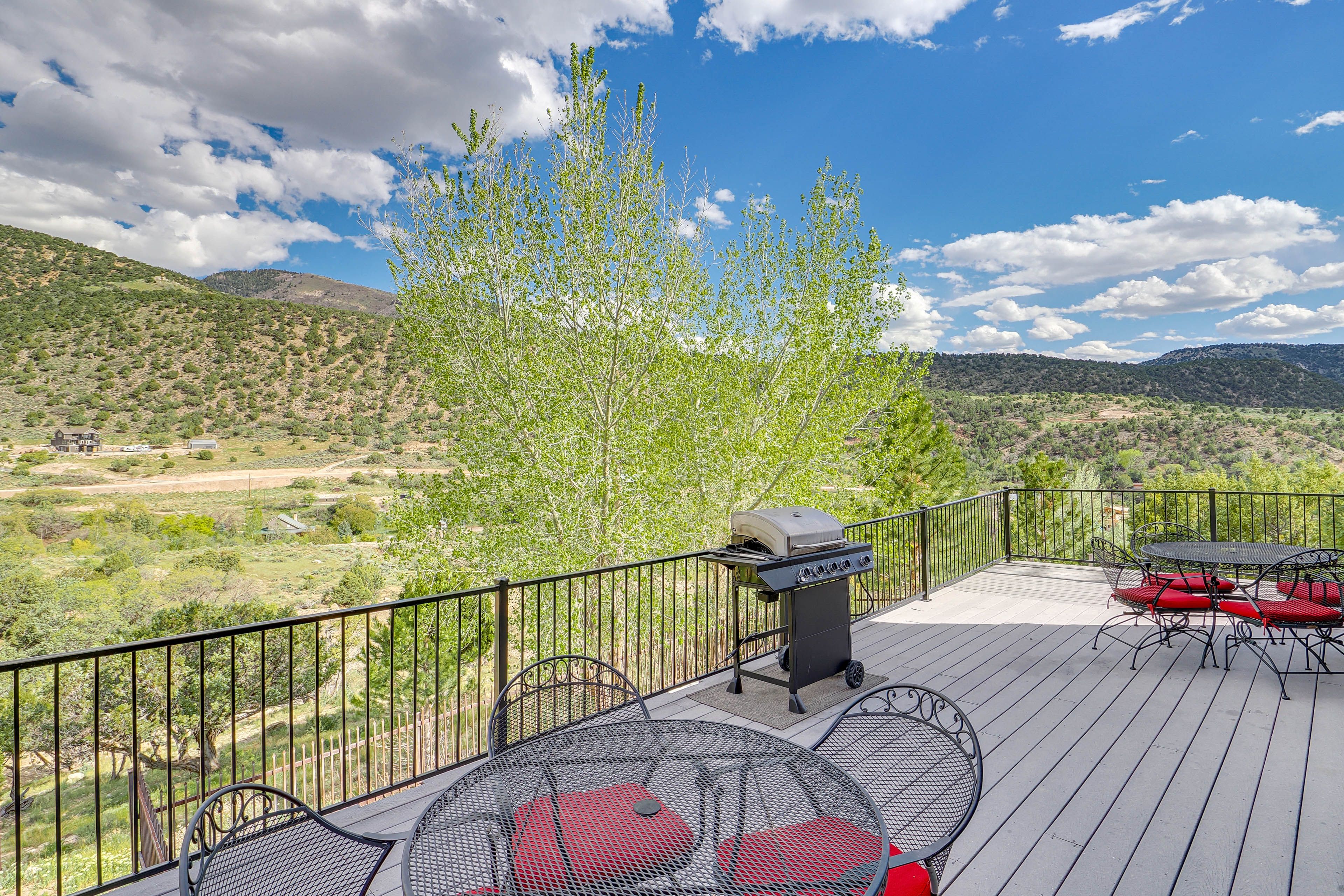 Deck | Gas Grill