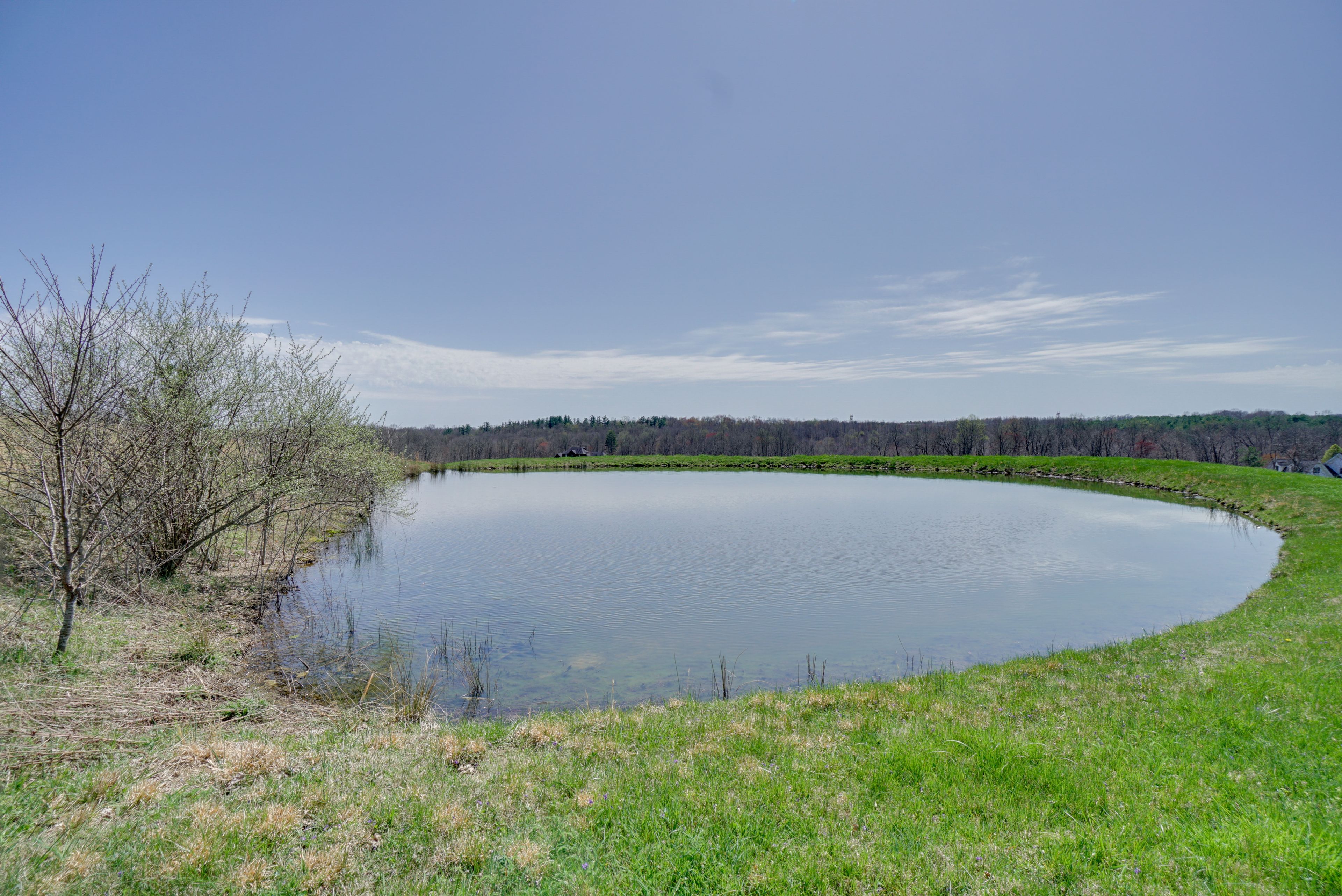 On-Site Pond (Catch & Release Only)