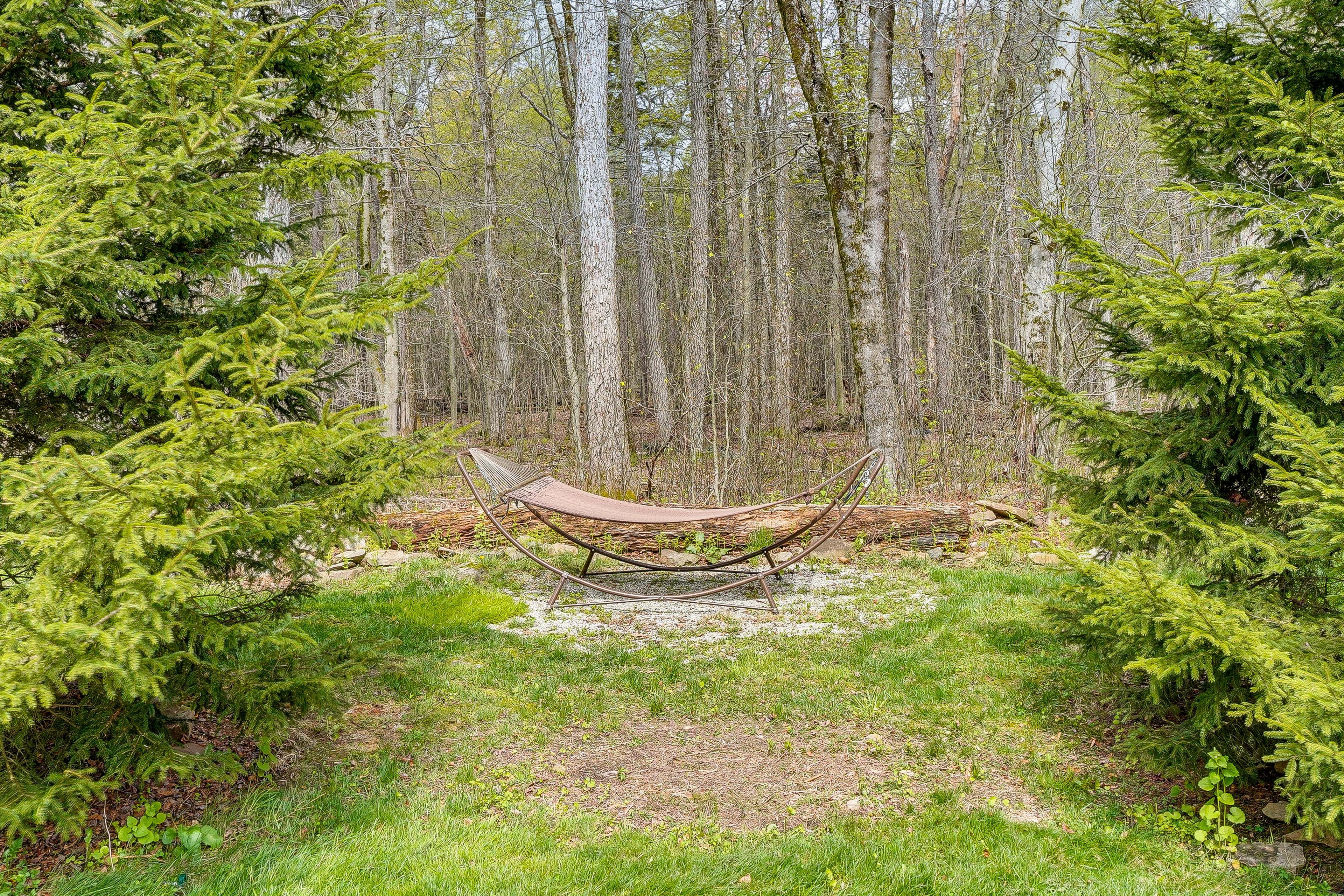 Yard | Fire Pit | Hammock