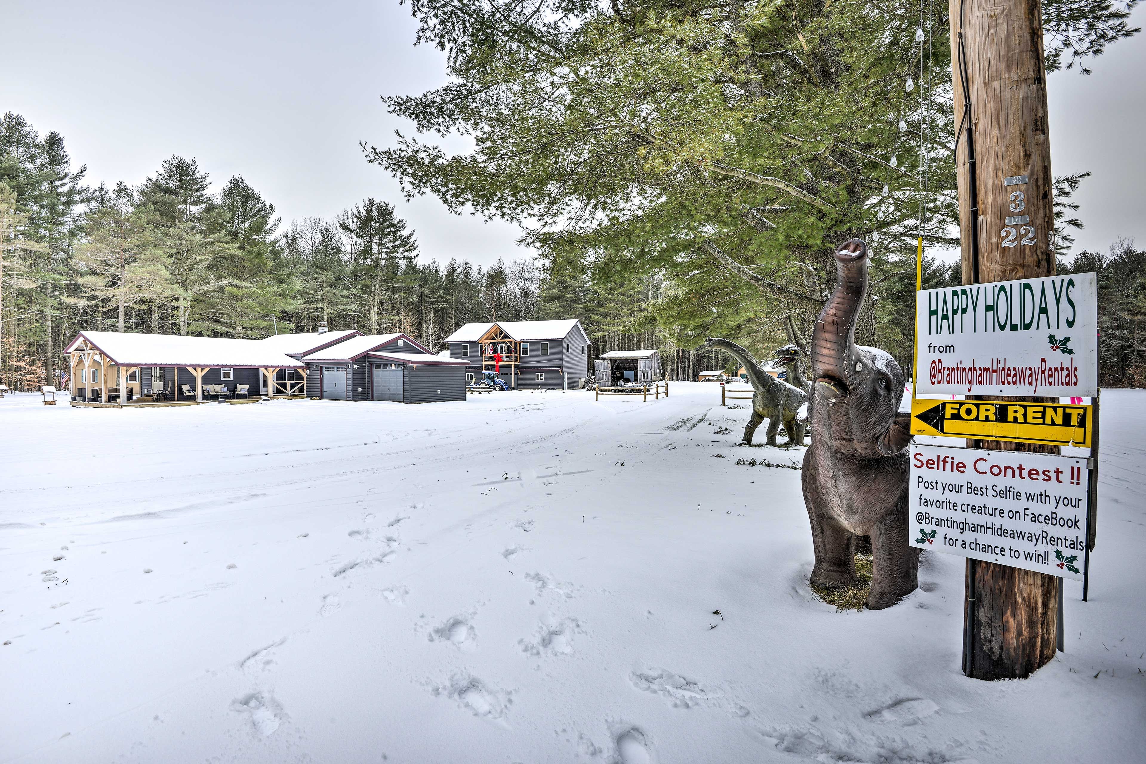 Driveway
