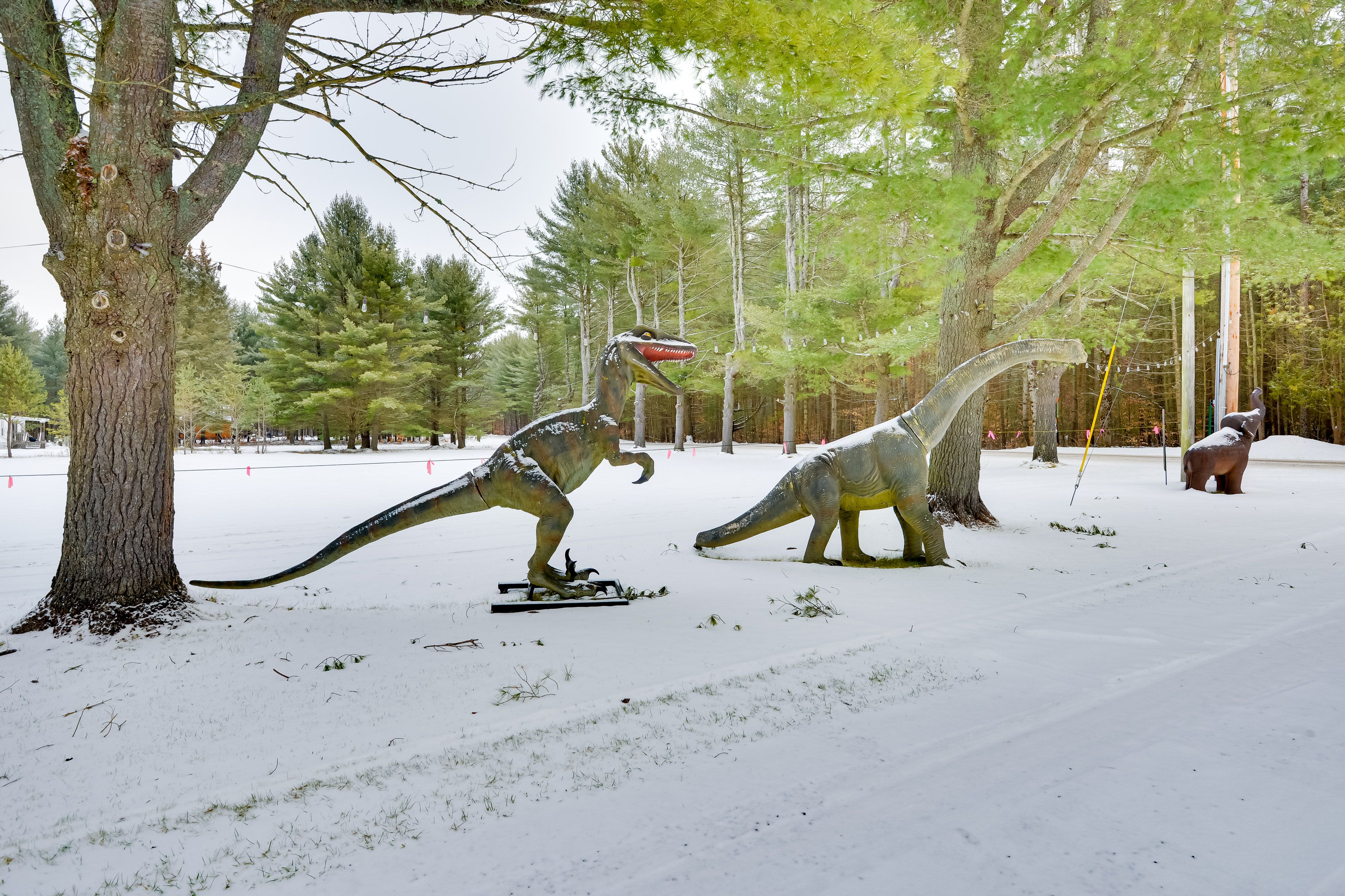 Driveway to Property