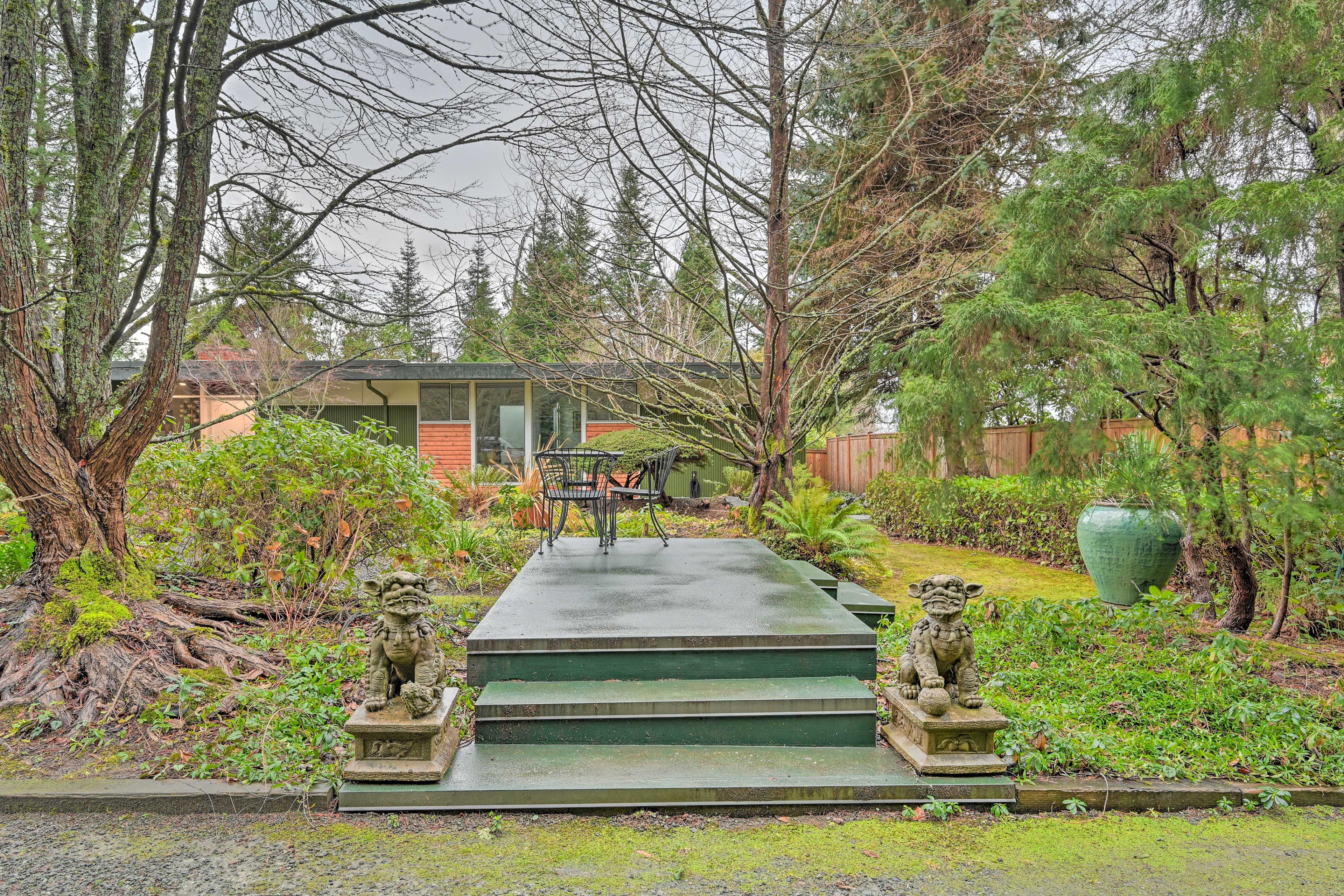 Shared Backyard