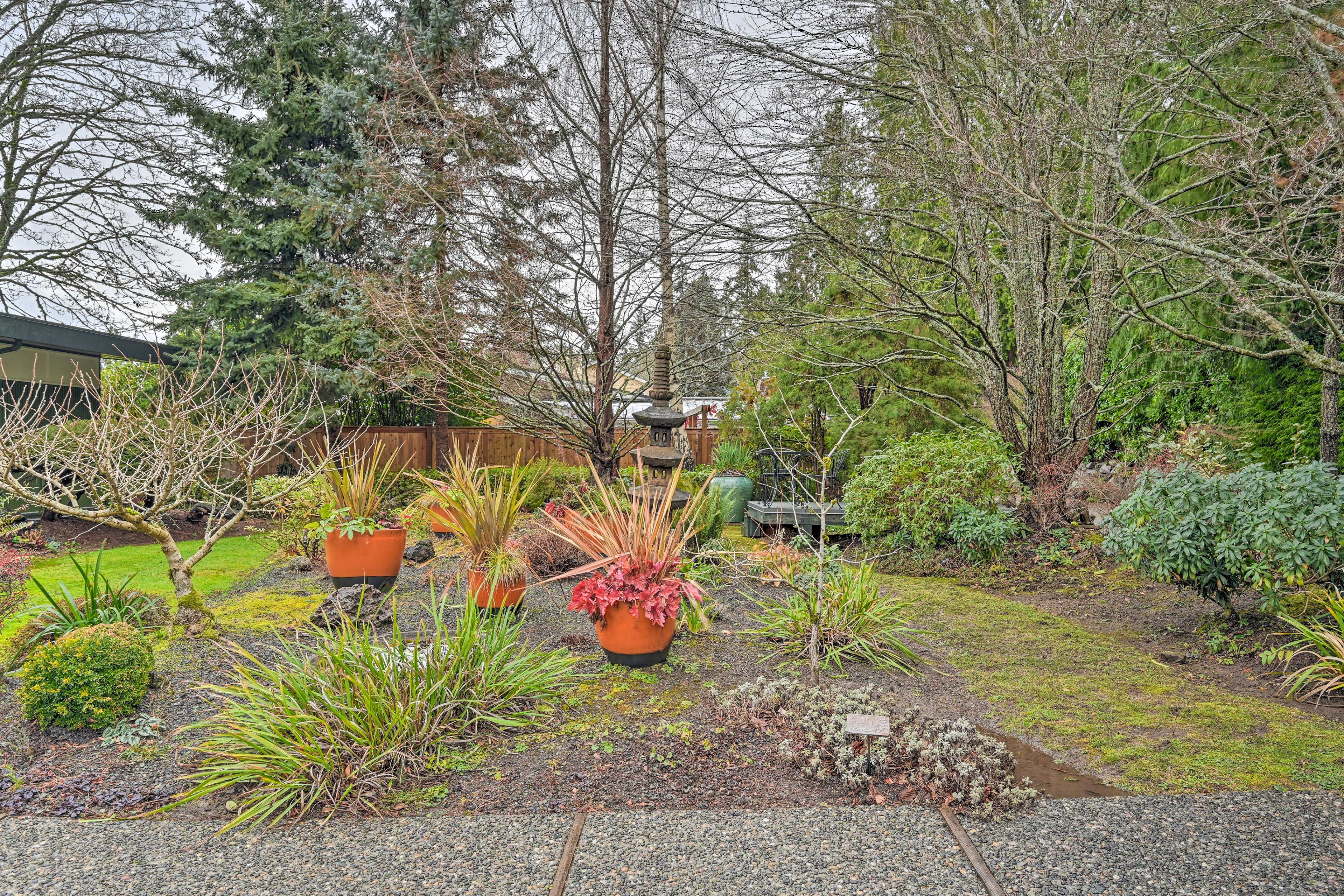 Shared Backyard
