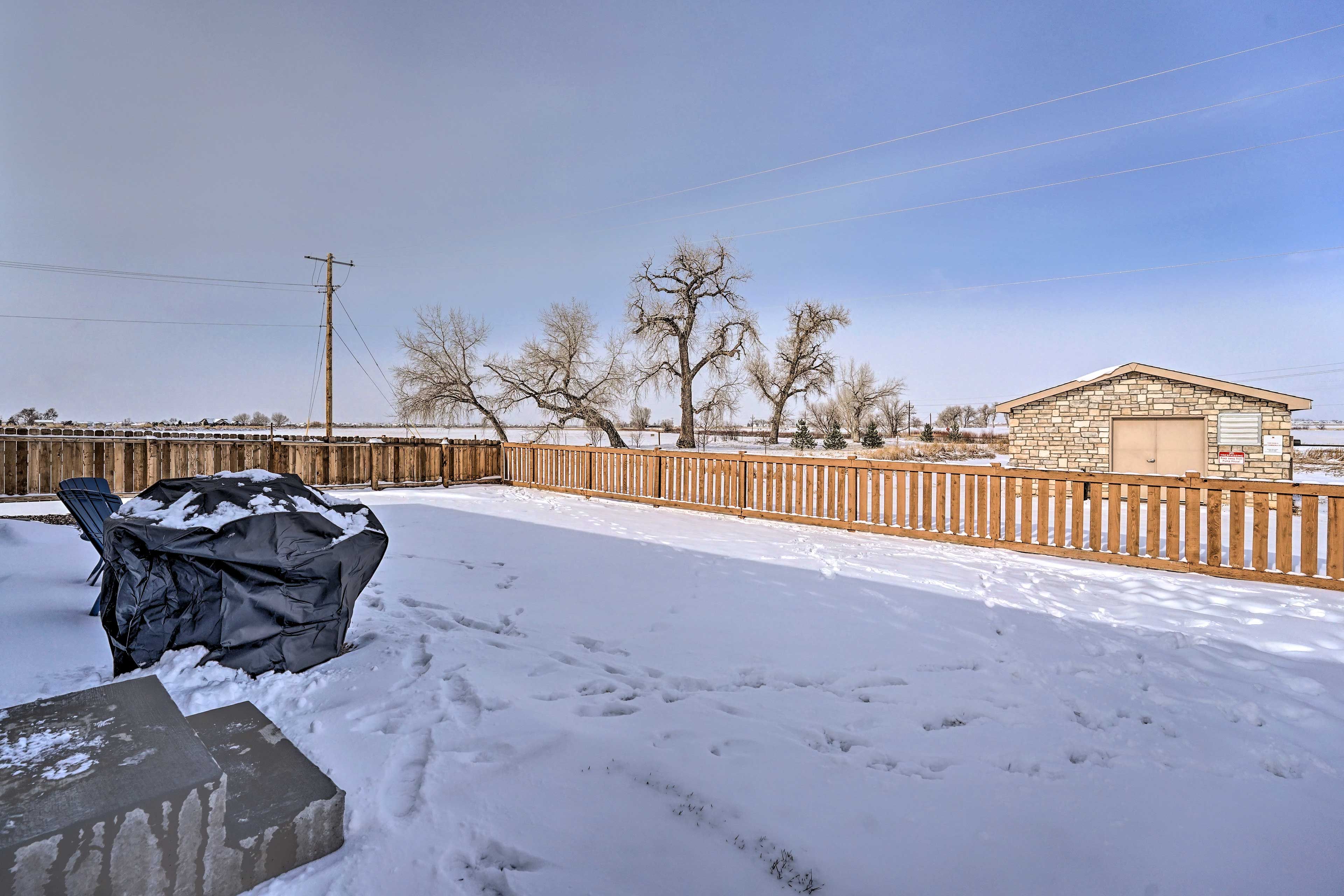 Private Yard | Gas Grill