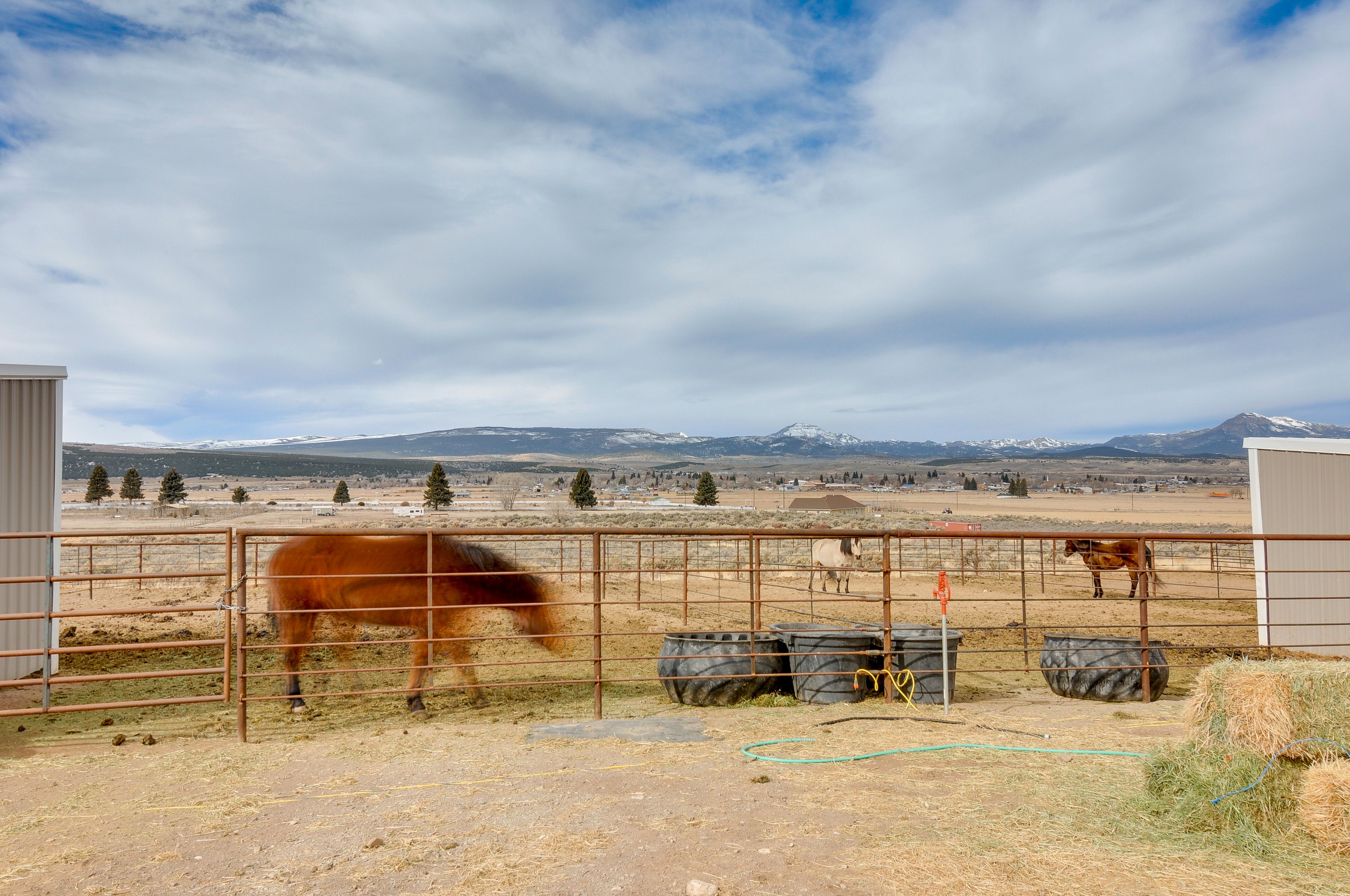 Mountain Views | Horses On-Site