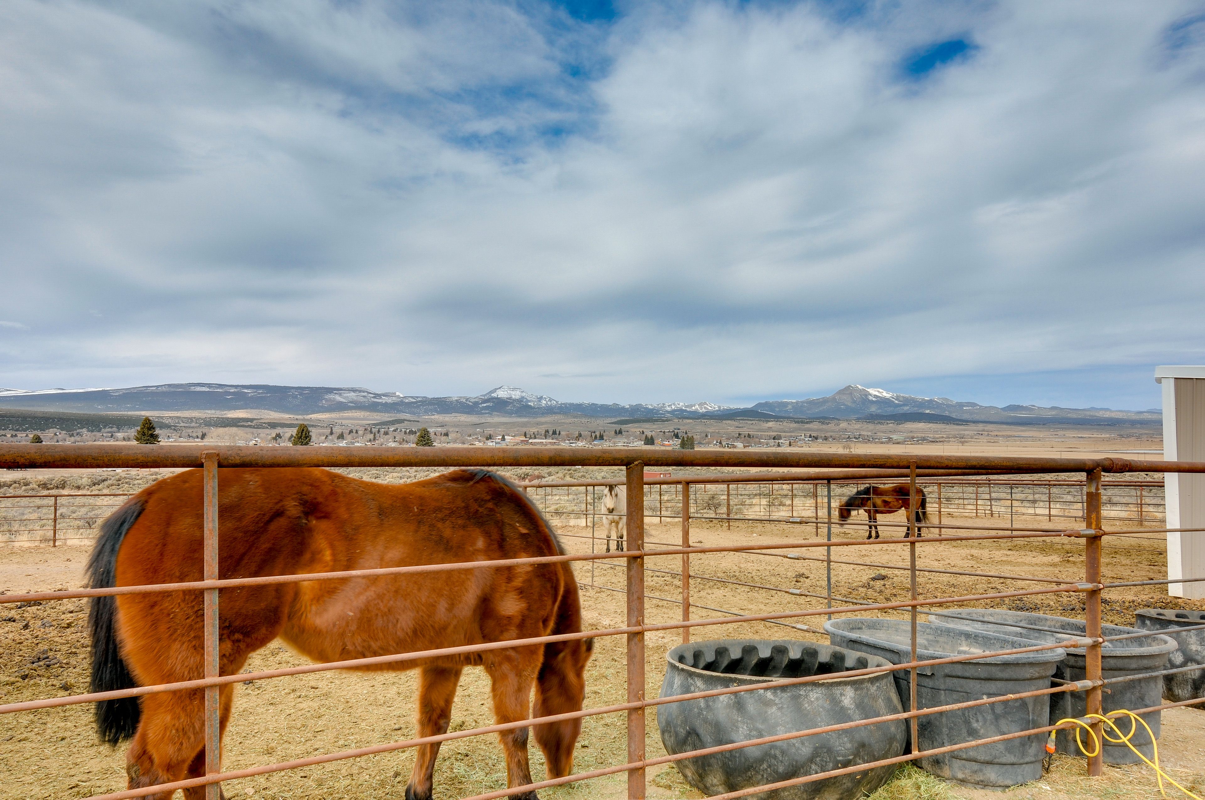 Exterior | Mountain Views | Horses On-Site (For Viewing Only)