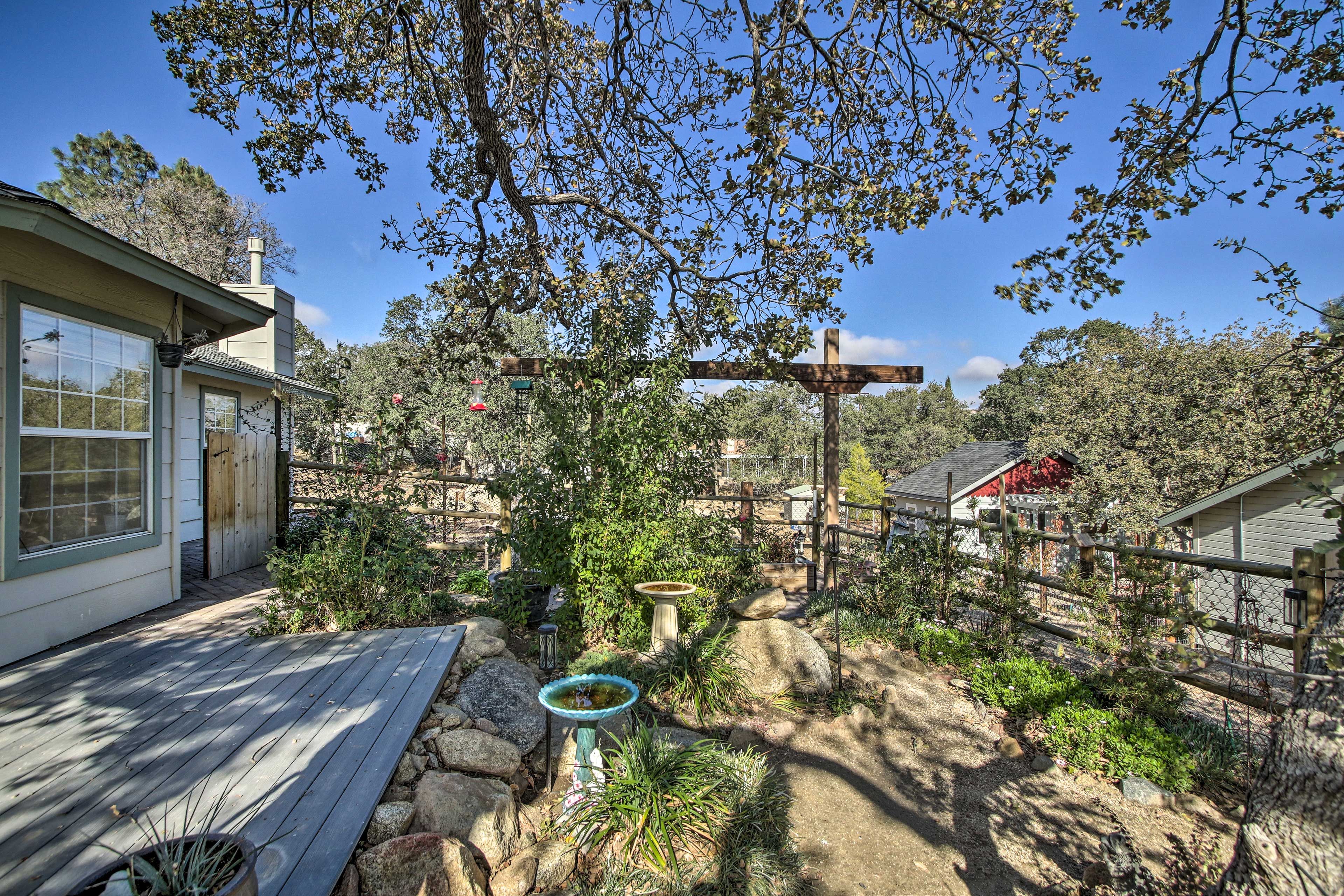 Garden