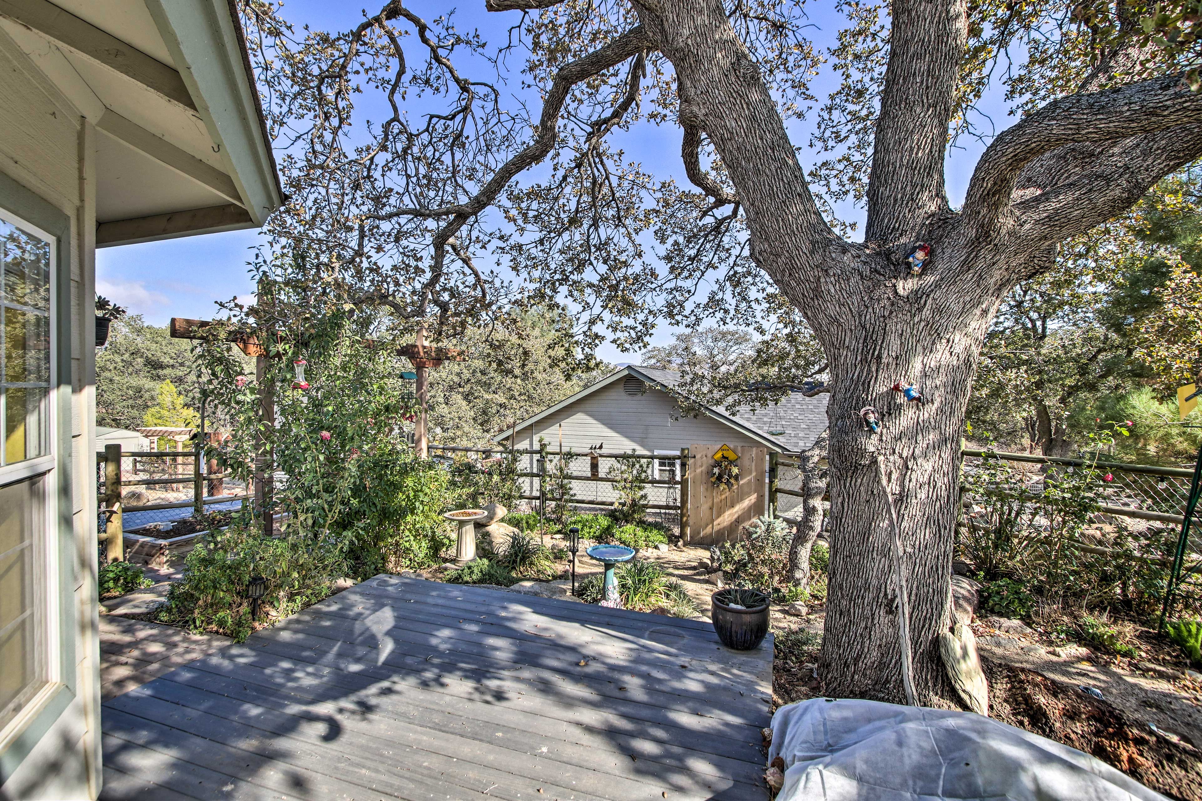 Deck Area