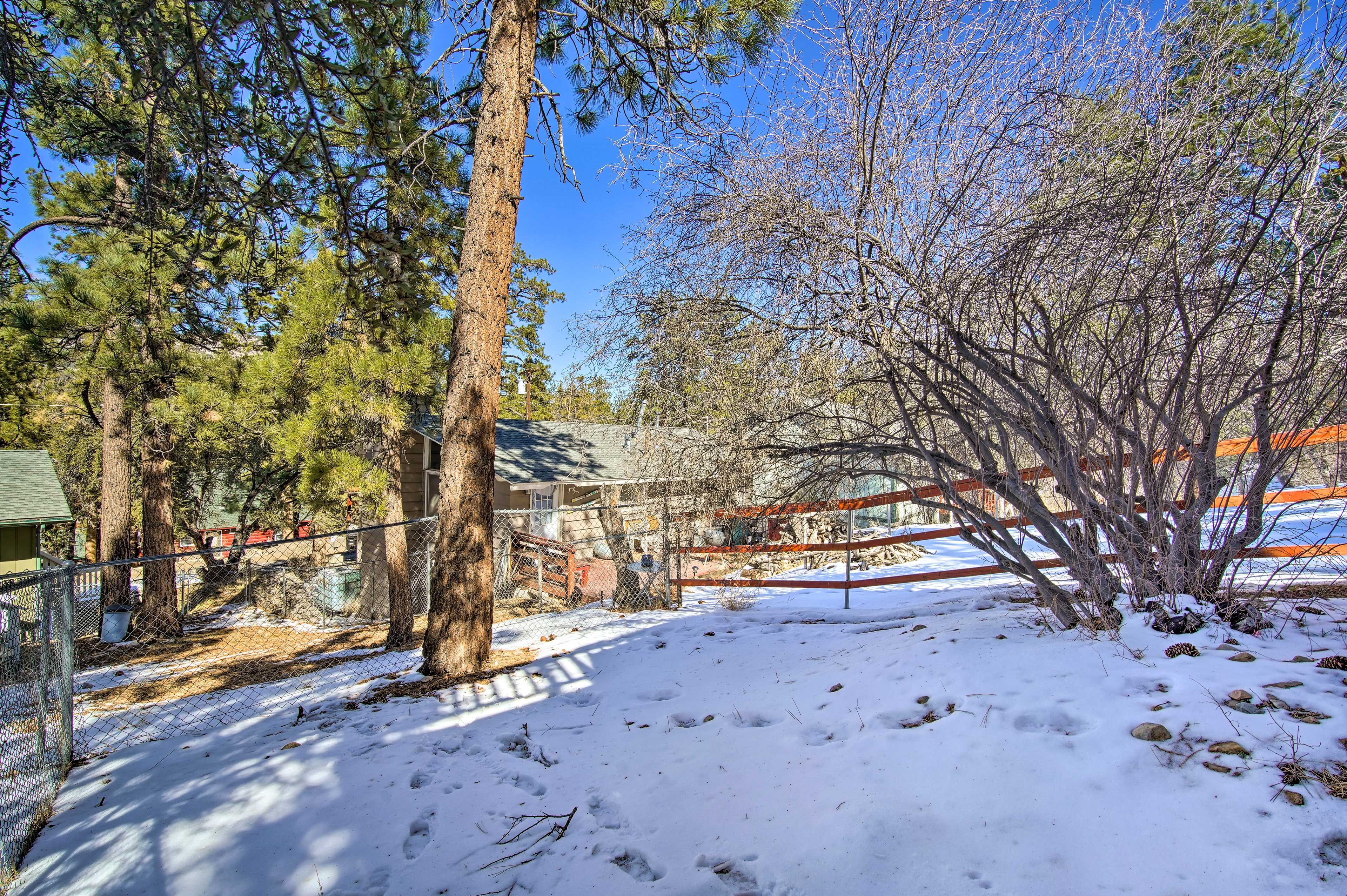 Exterior | Backyard