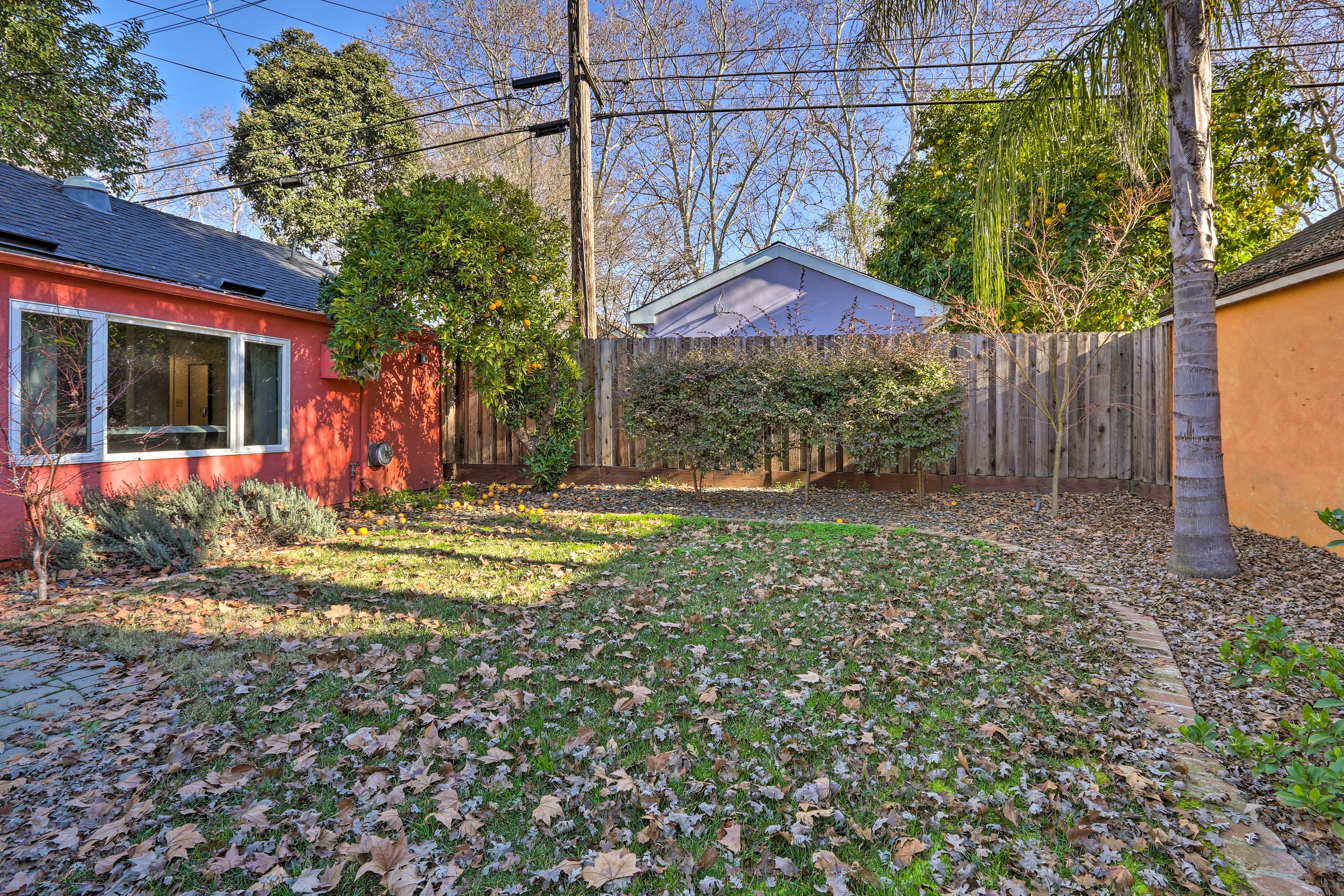 Yard