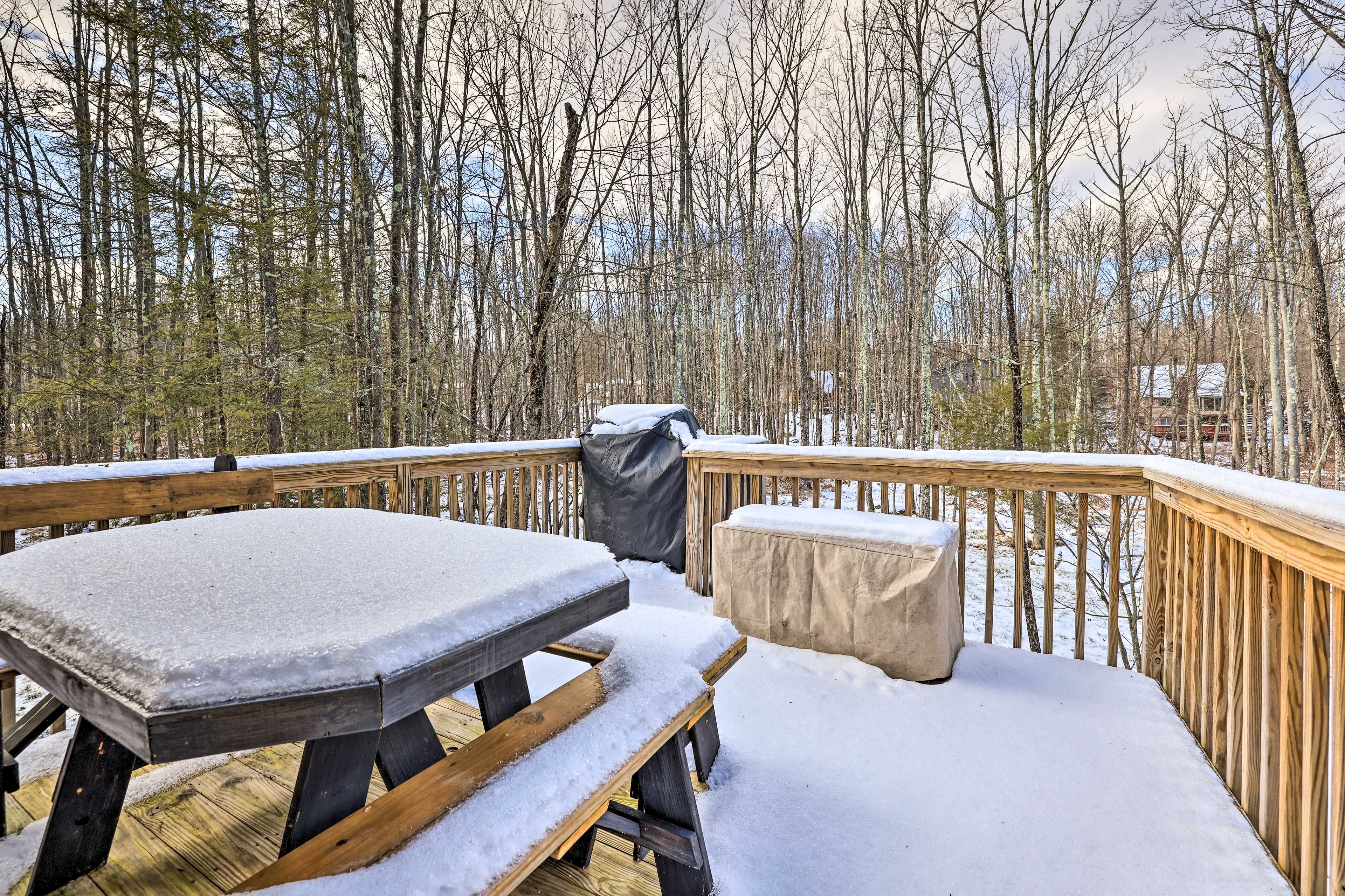 Deck | Gas Grill