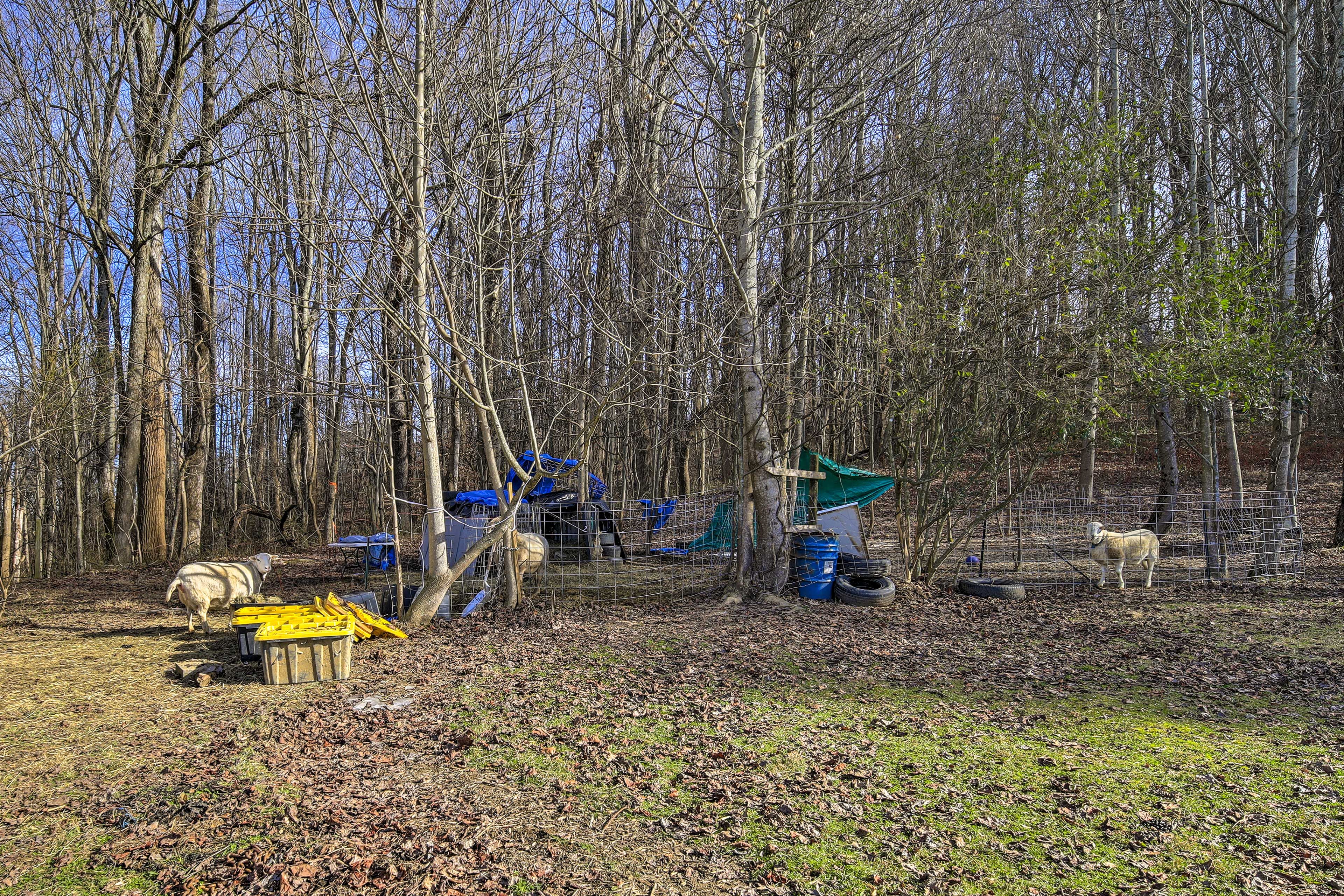 Property Exterior