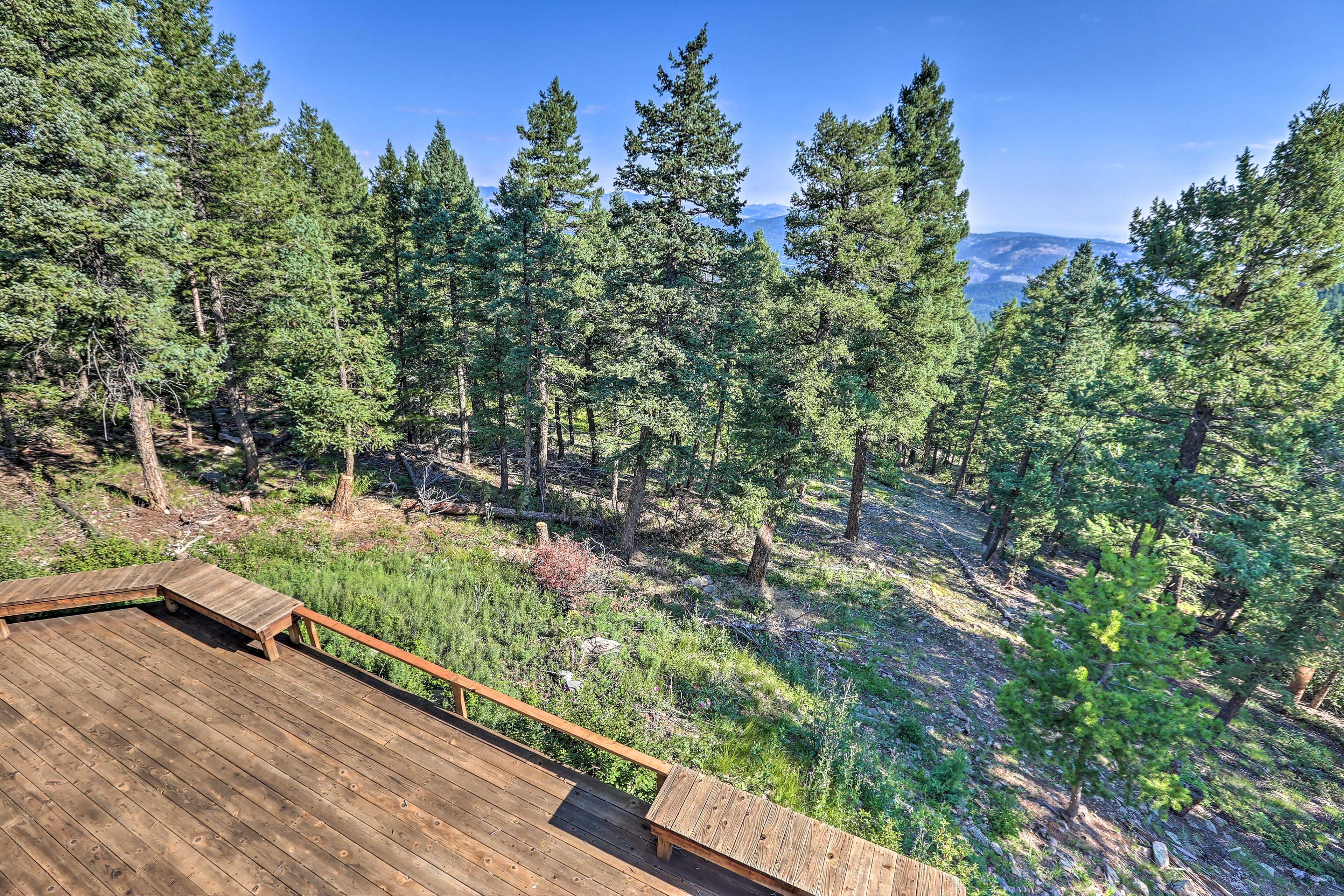 Property Views