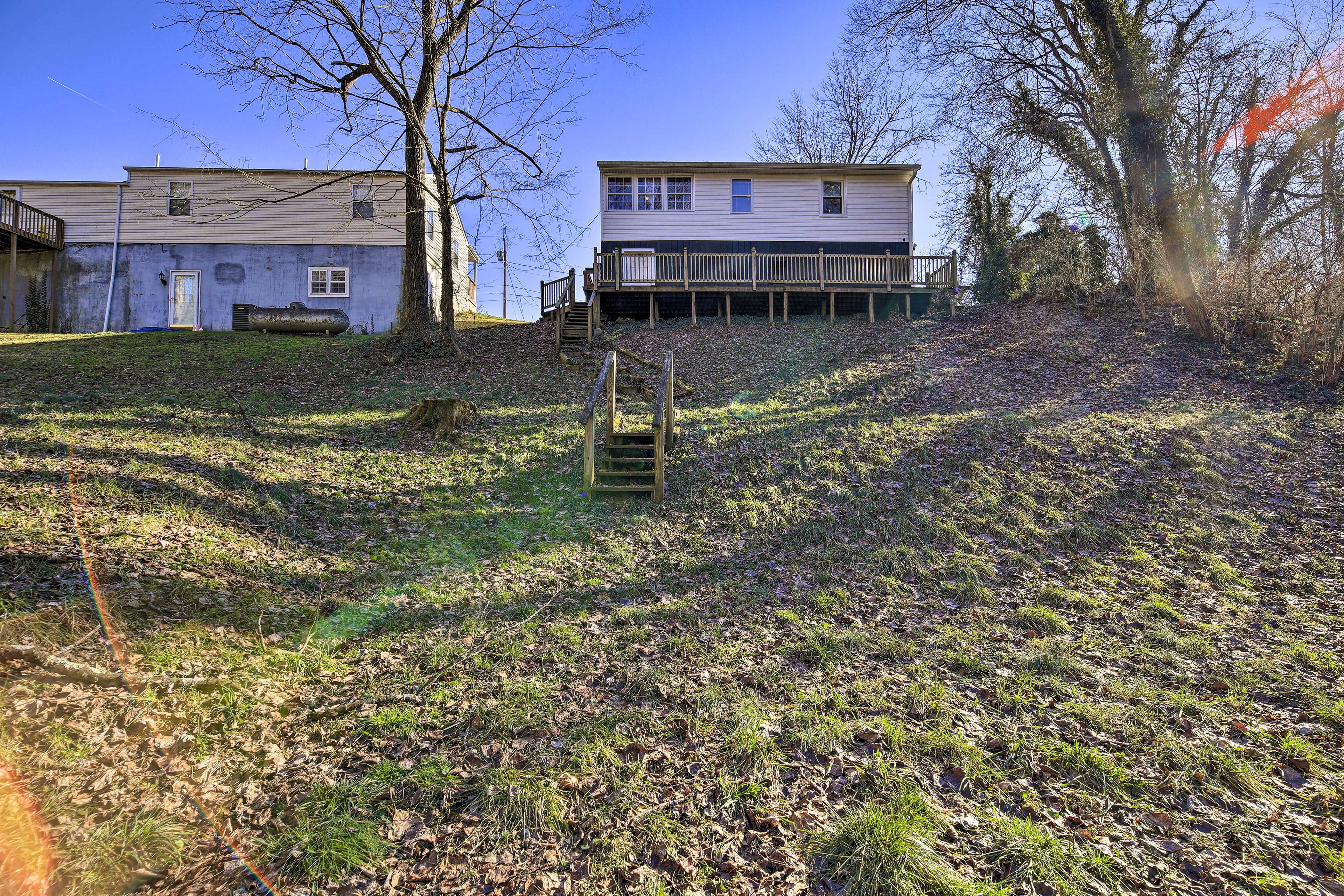 Backyard Area