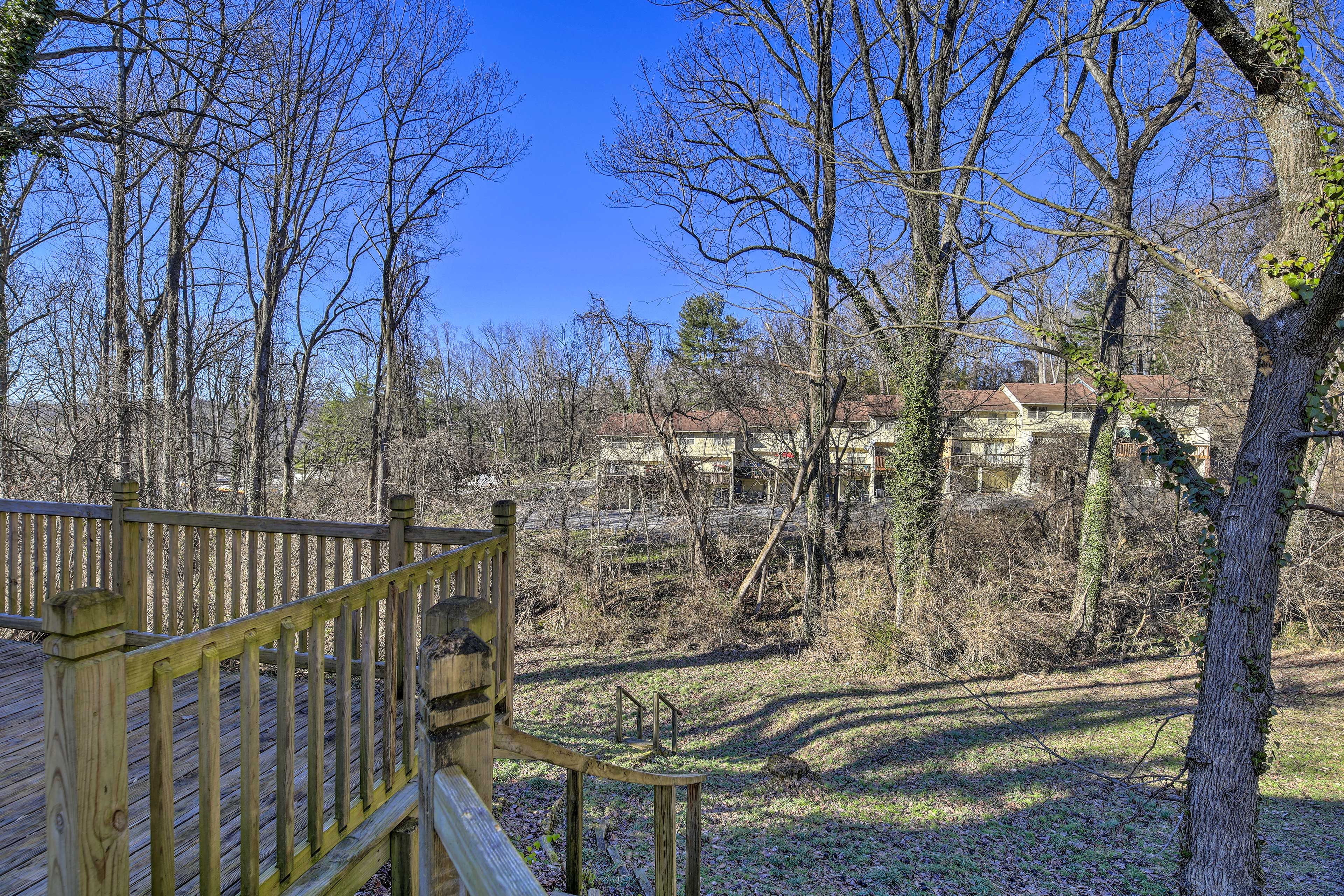 Backyard Area