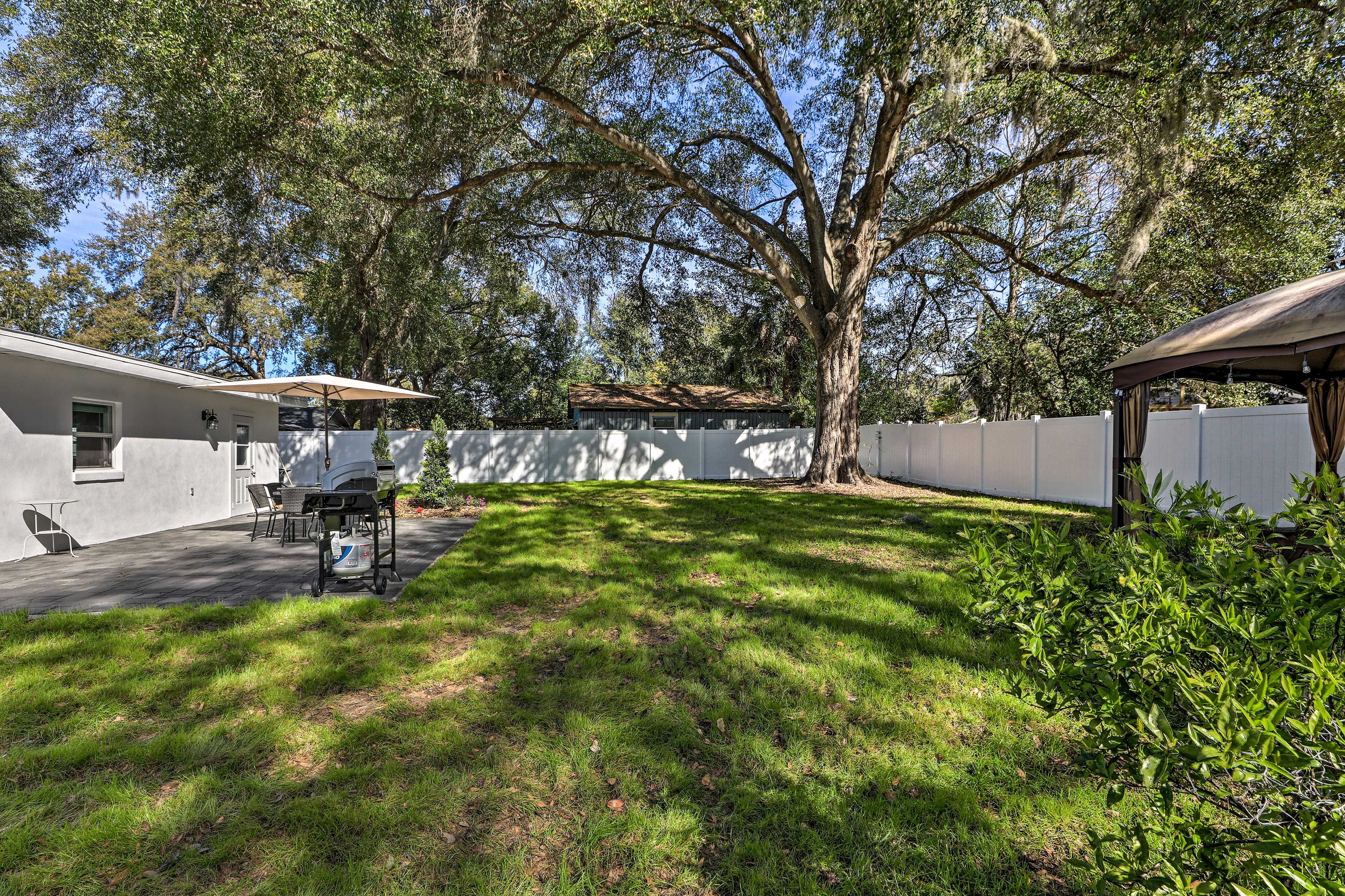 Backyard