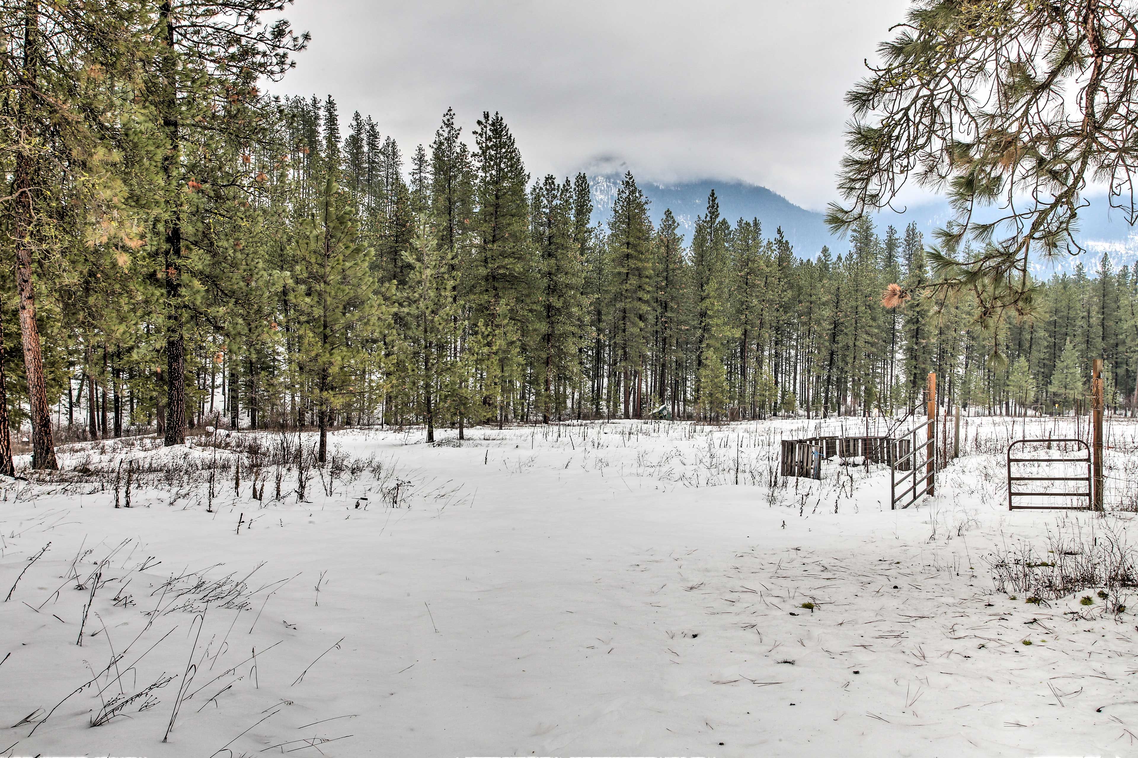 Surrounding Property