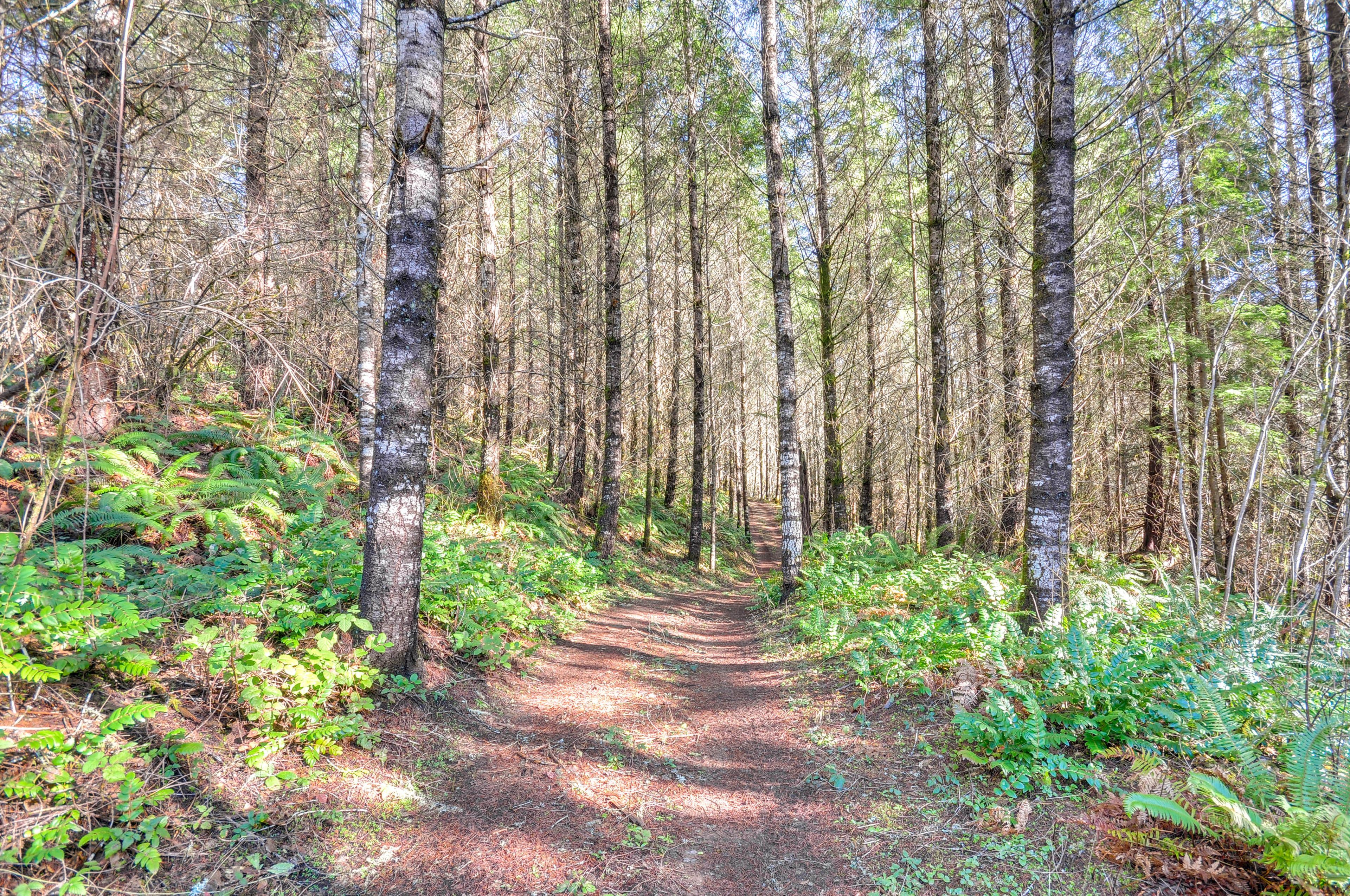 Hiking Trails