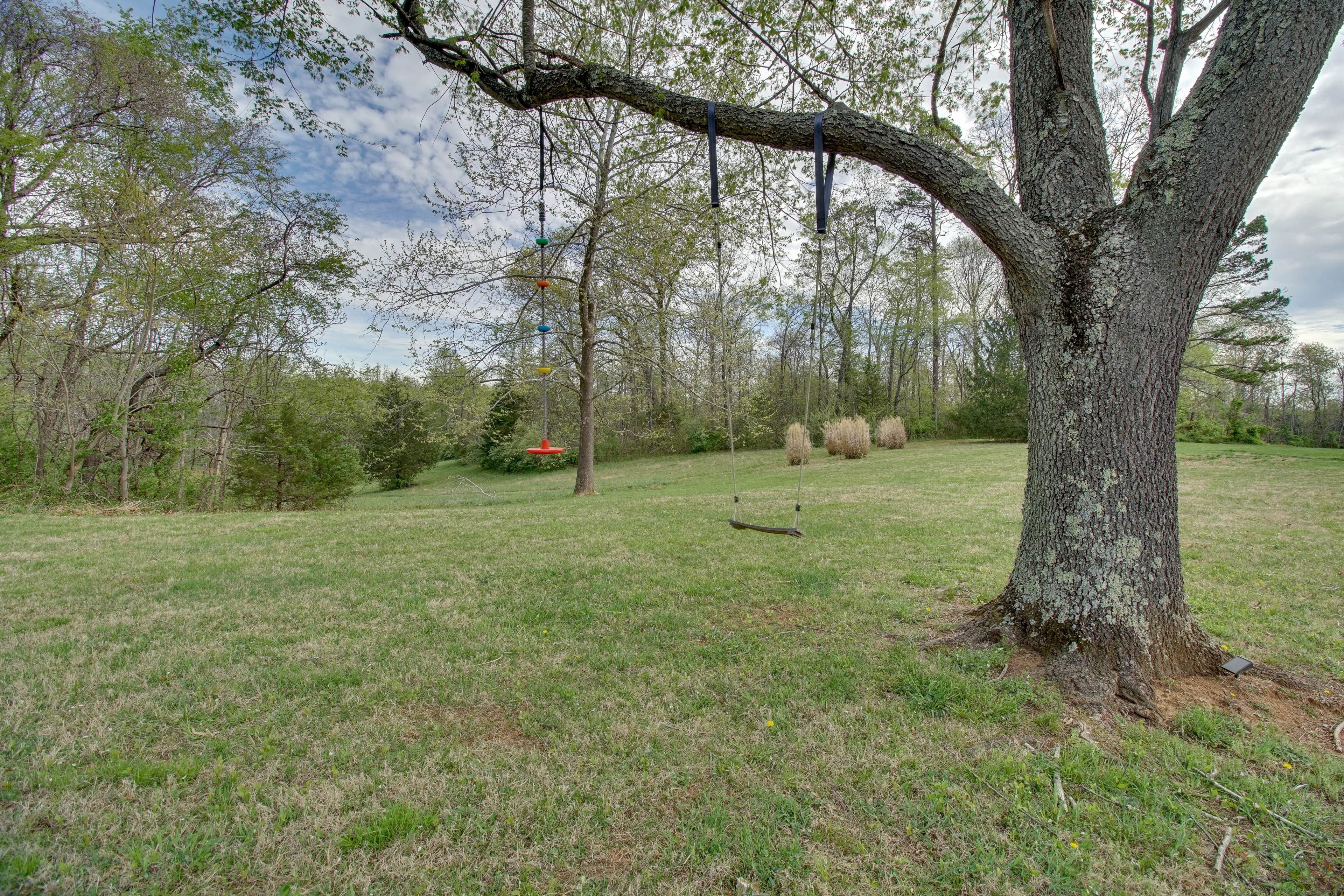 Backyard | Hiking Trails Nearby