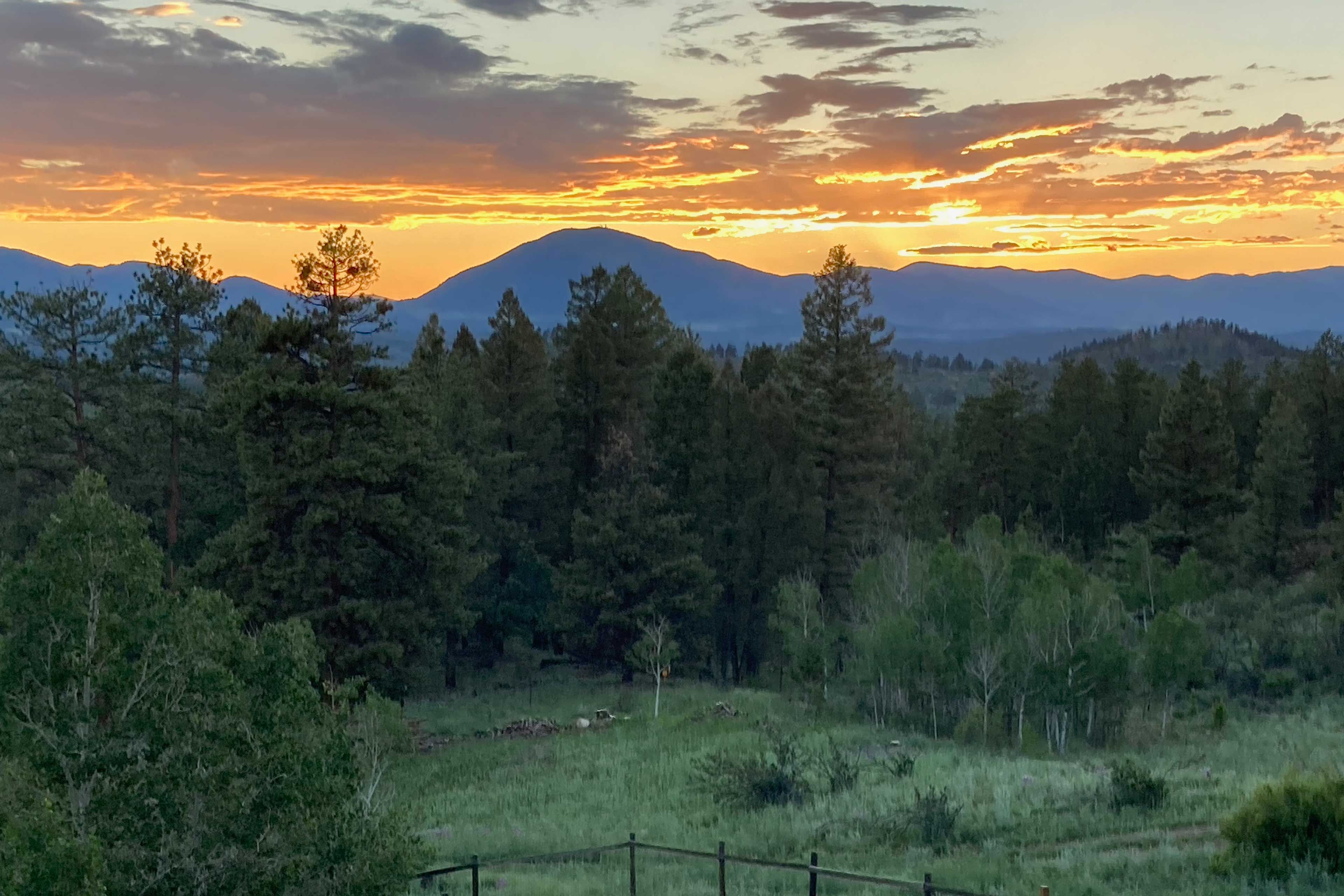 Property Views