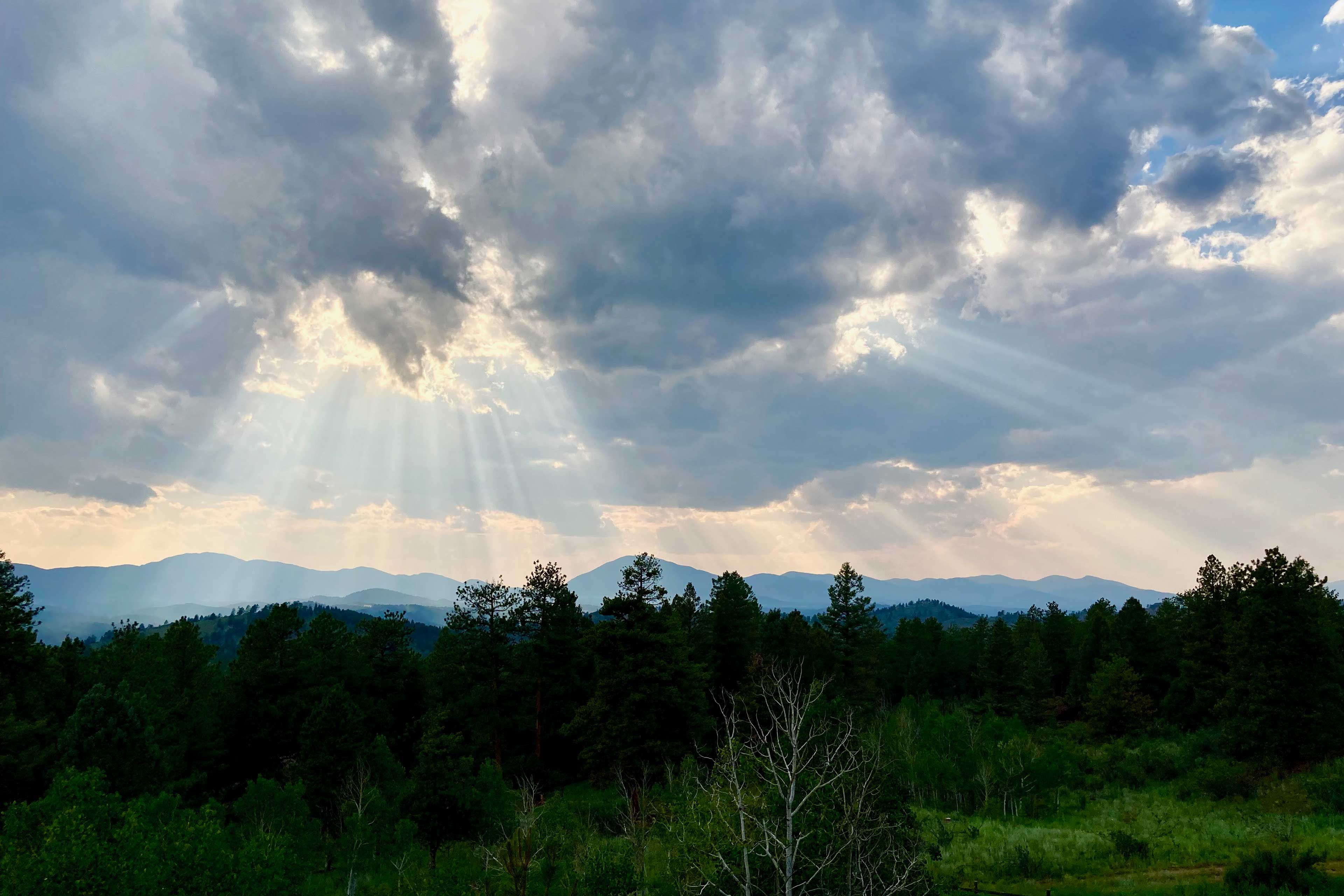 Property Views
