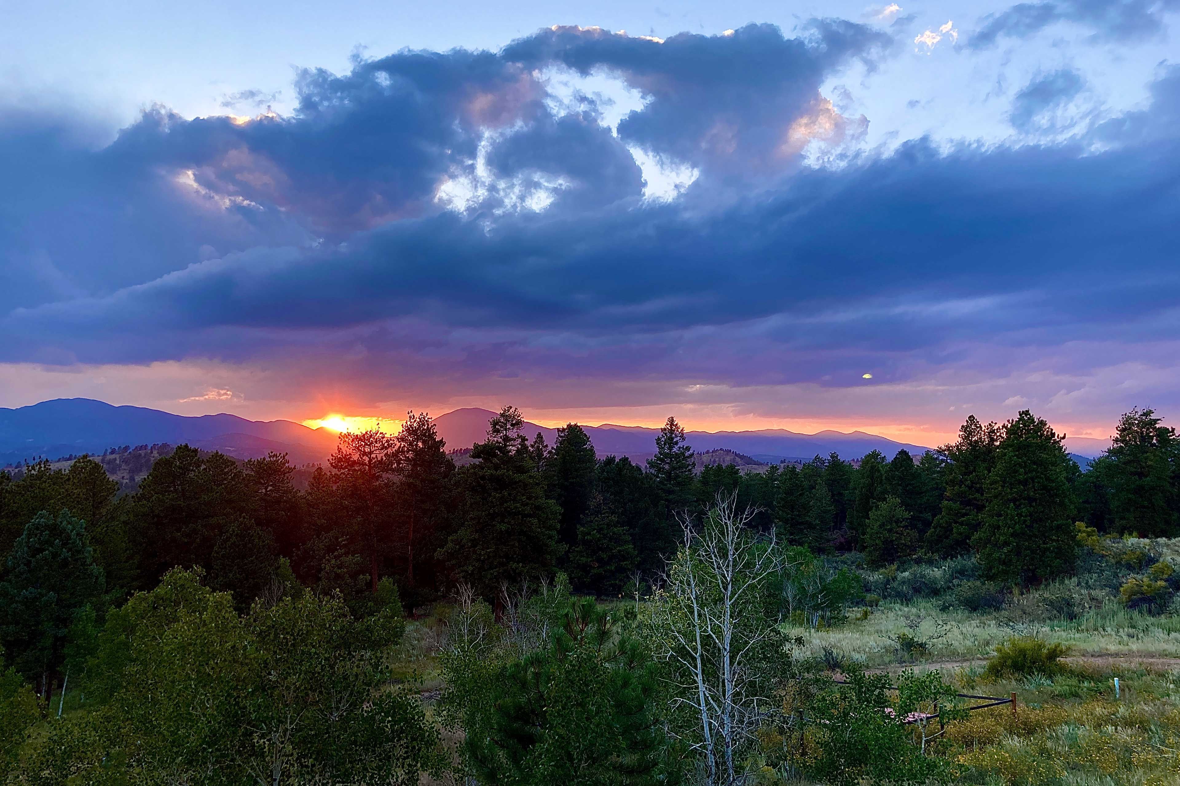Property Views