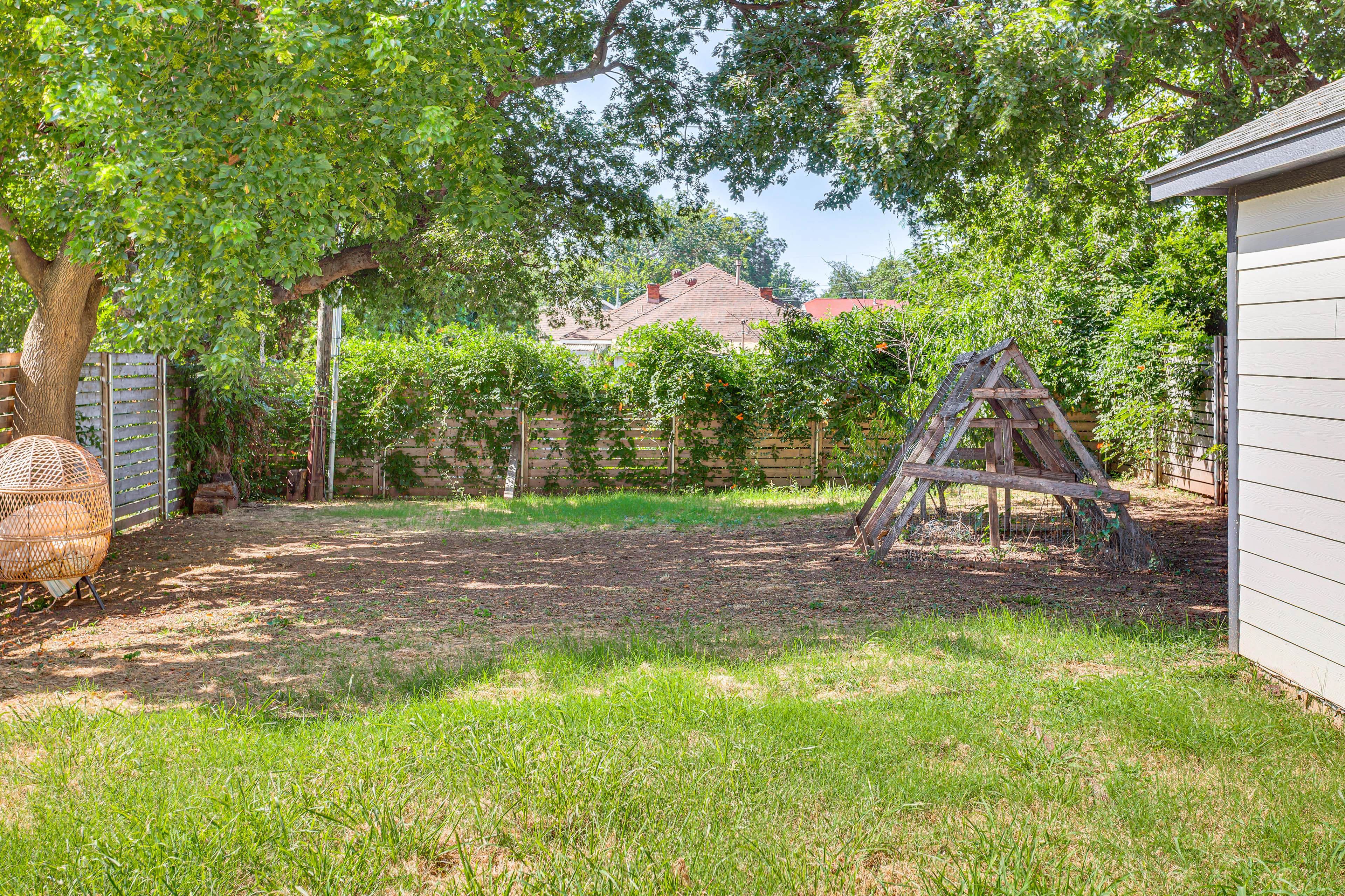 Backyard | Garden