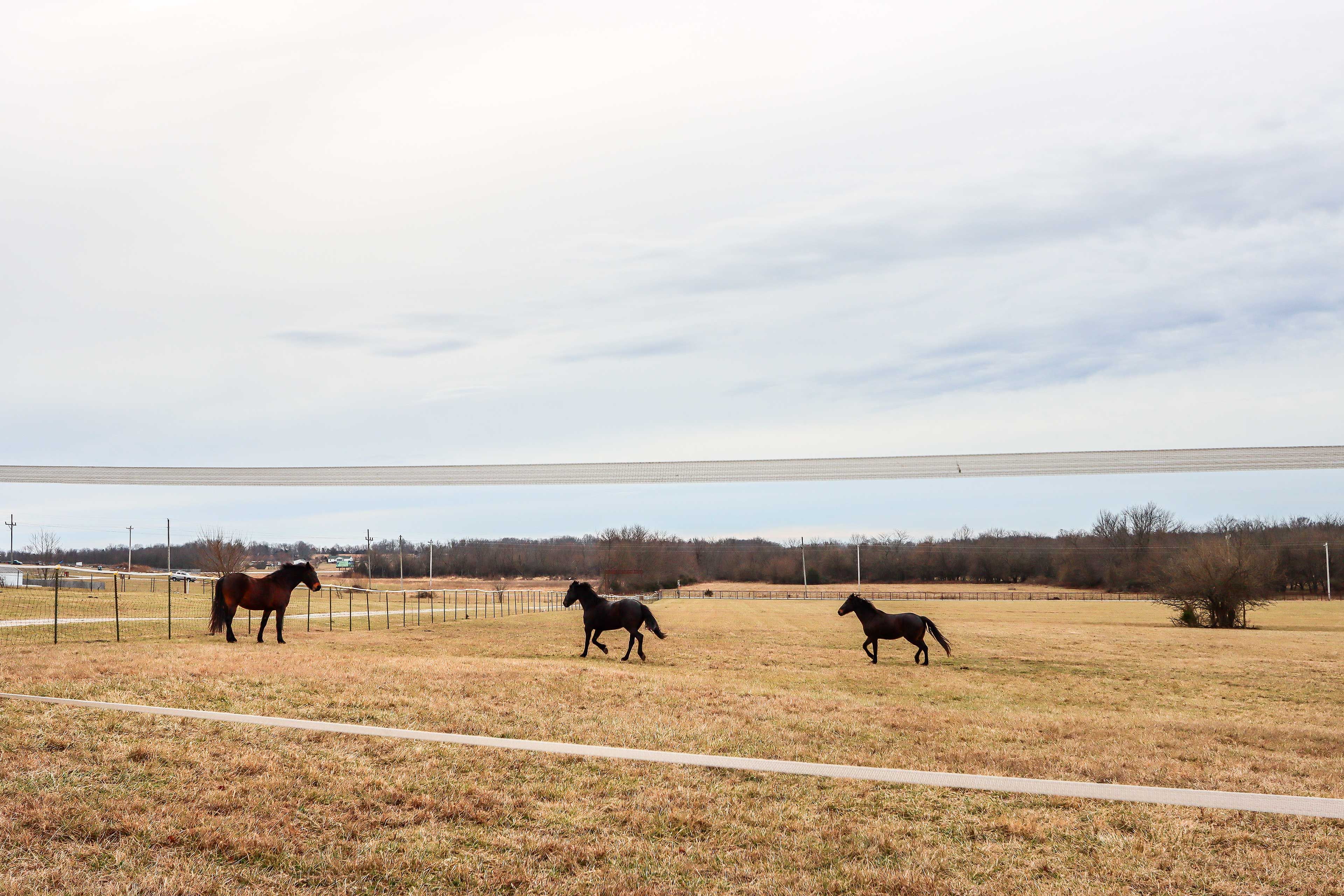 Pasture