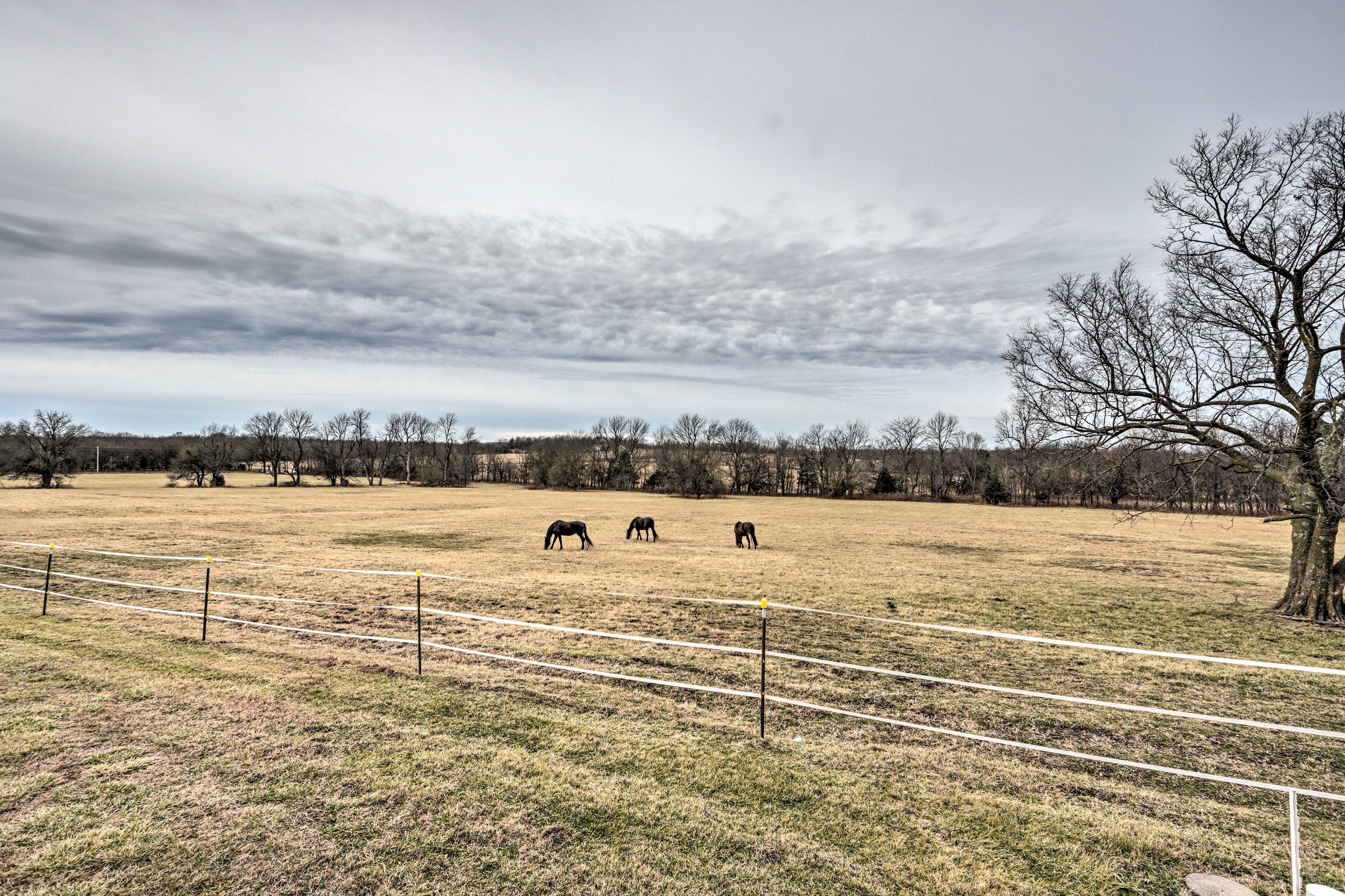 Pasture