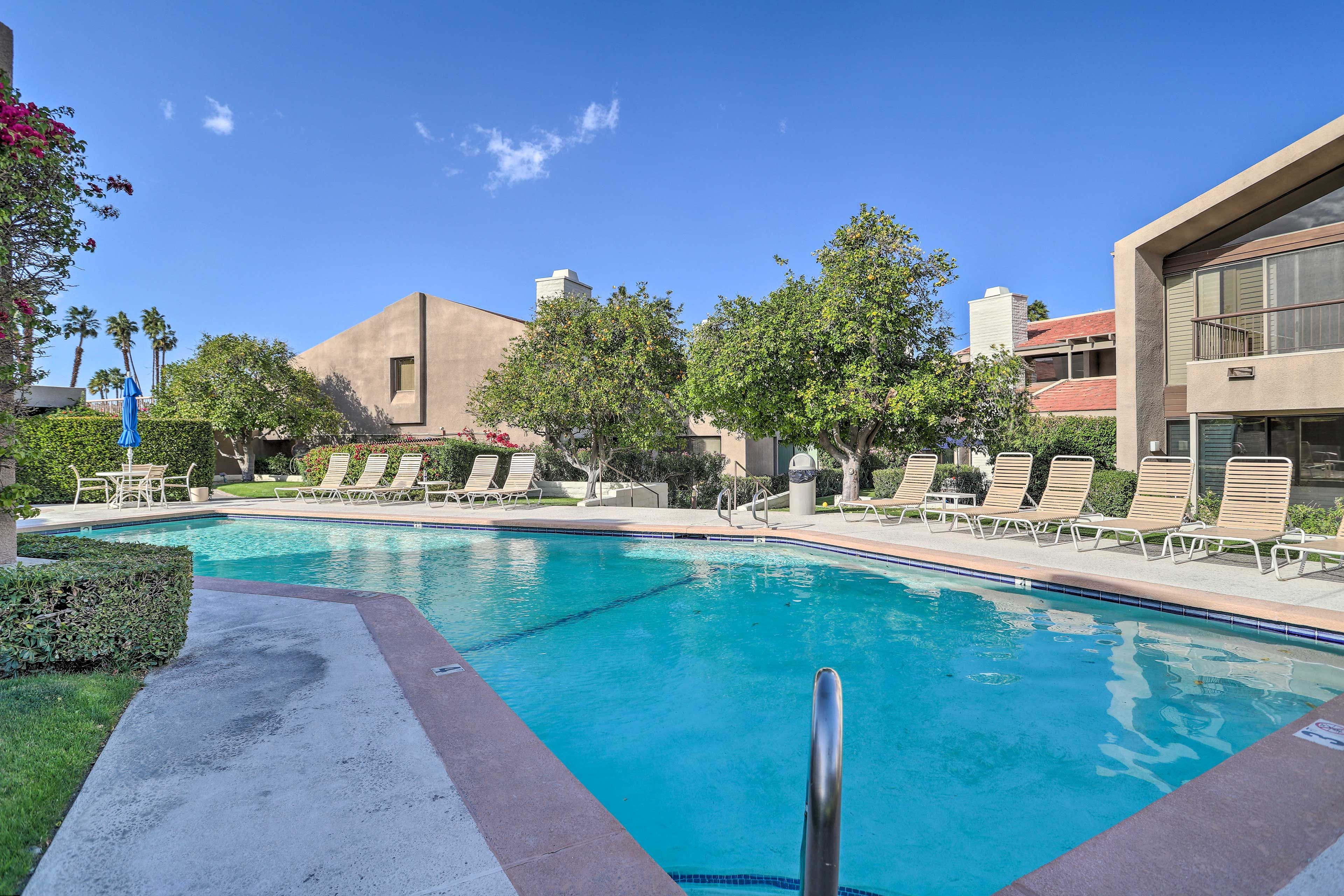 Community Pool