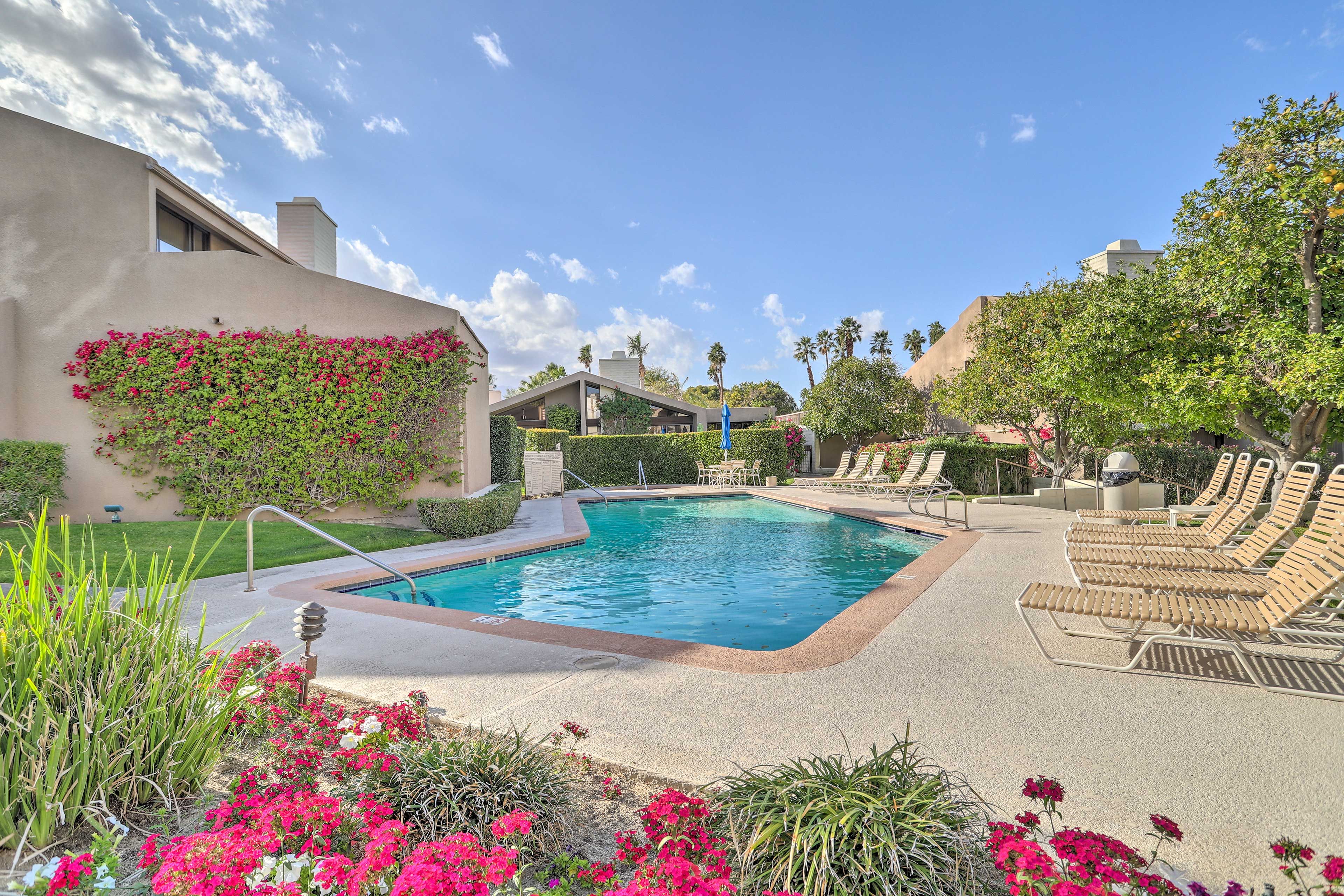 Community Pool