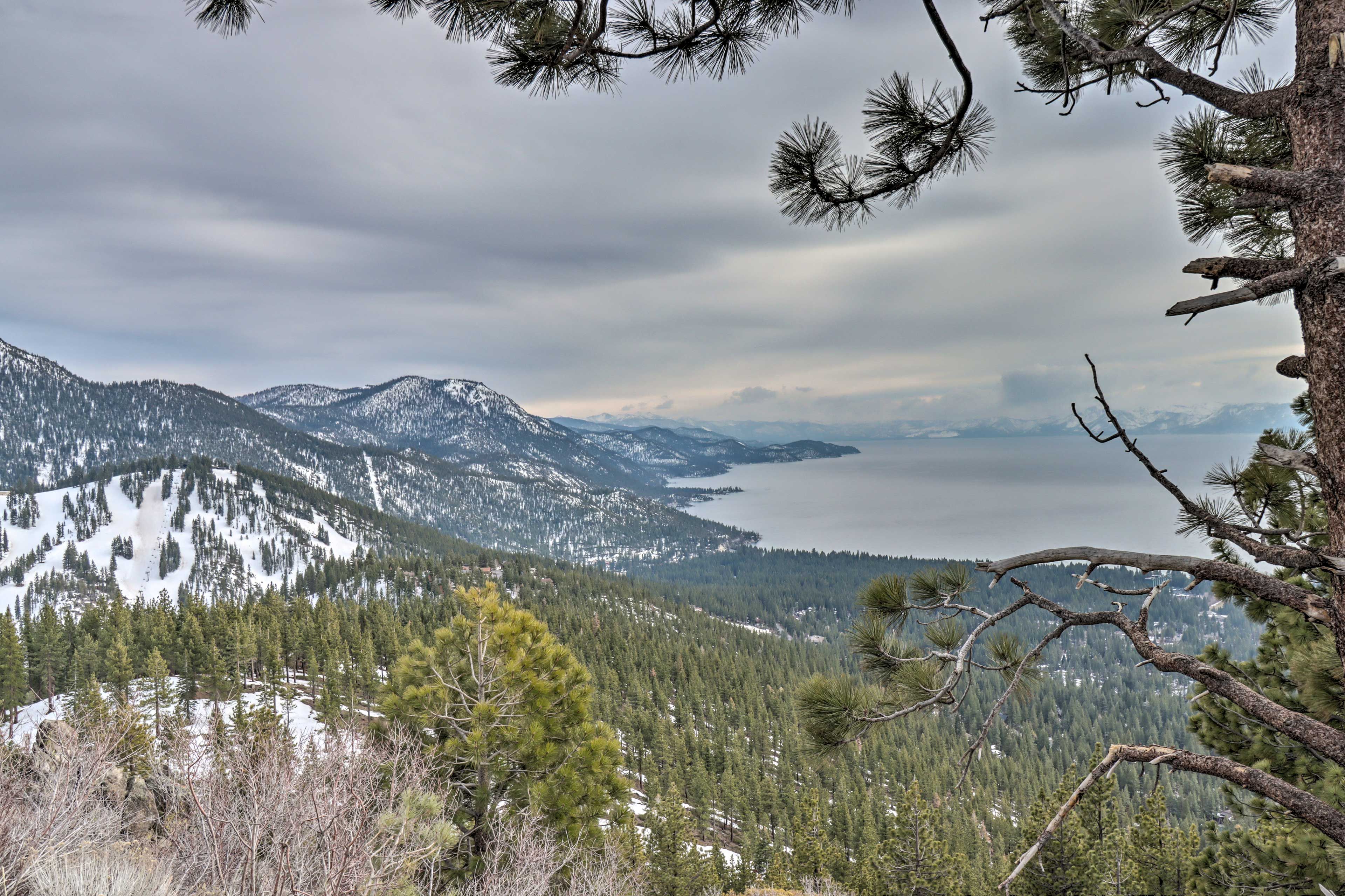 Nearby View | Lake Tahoe