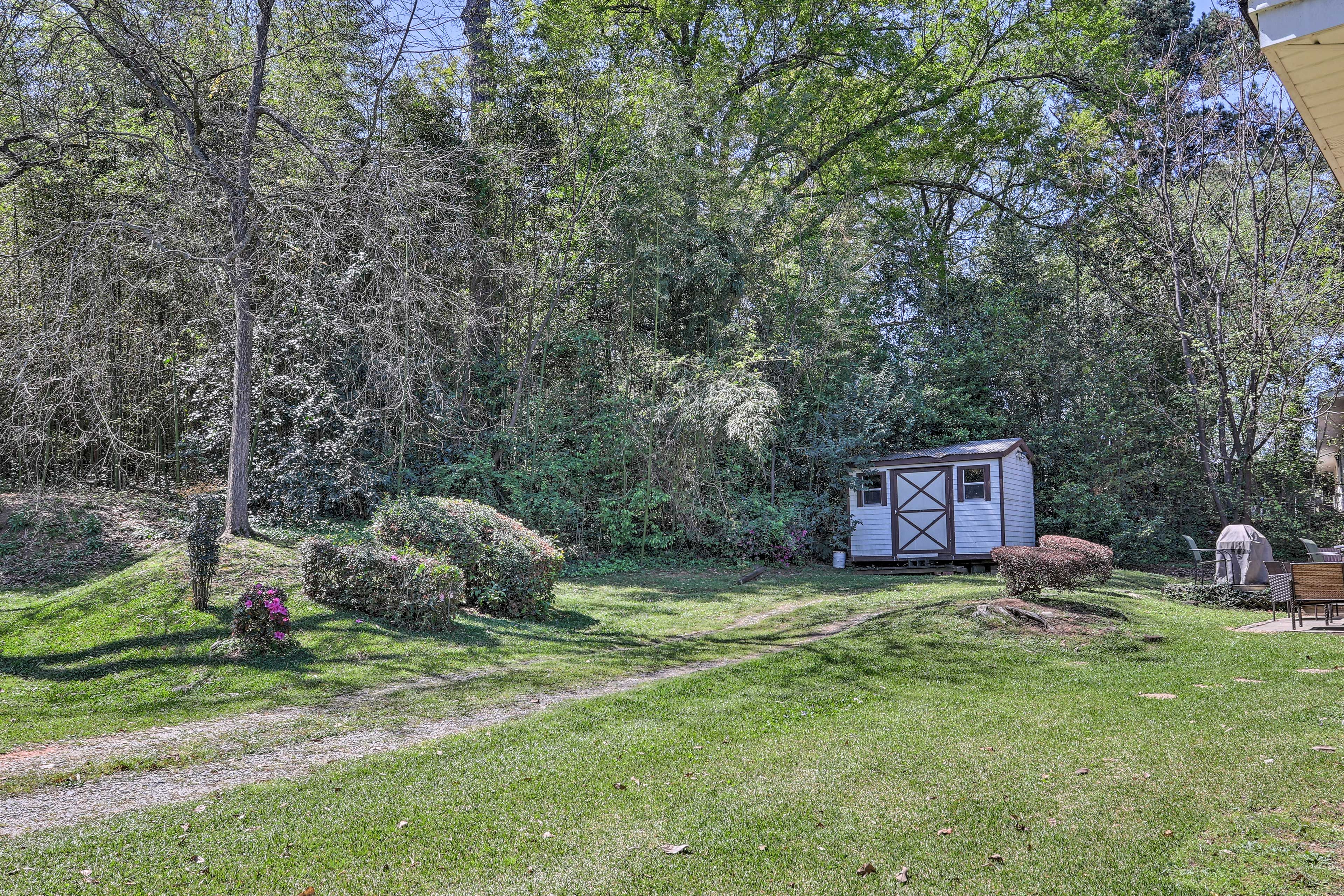 Backyard Driveway