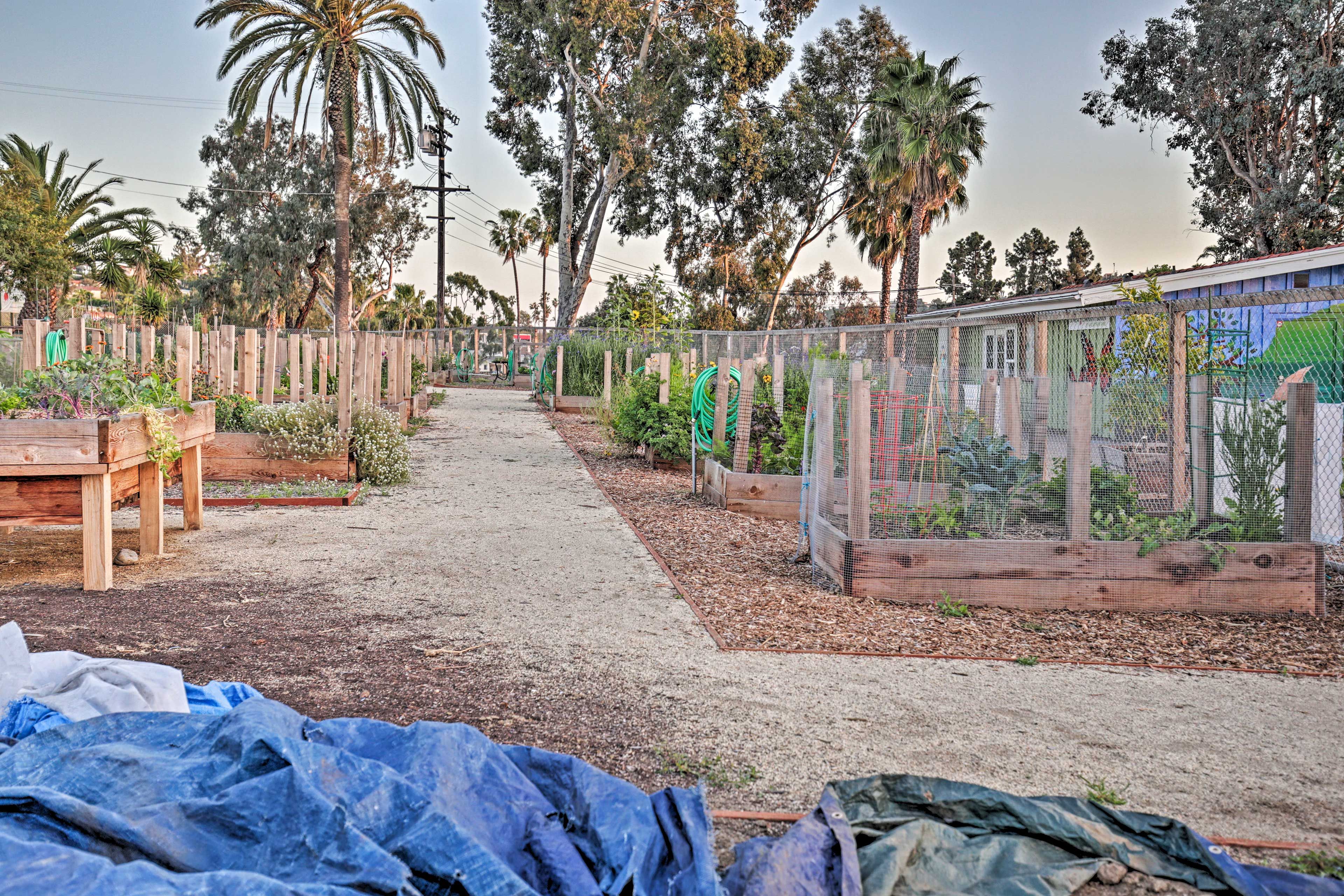 Community Amenities